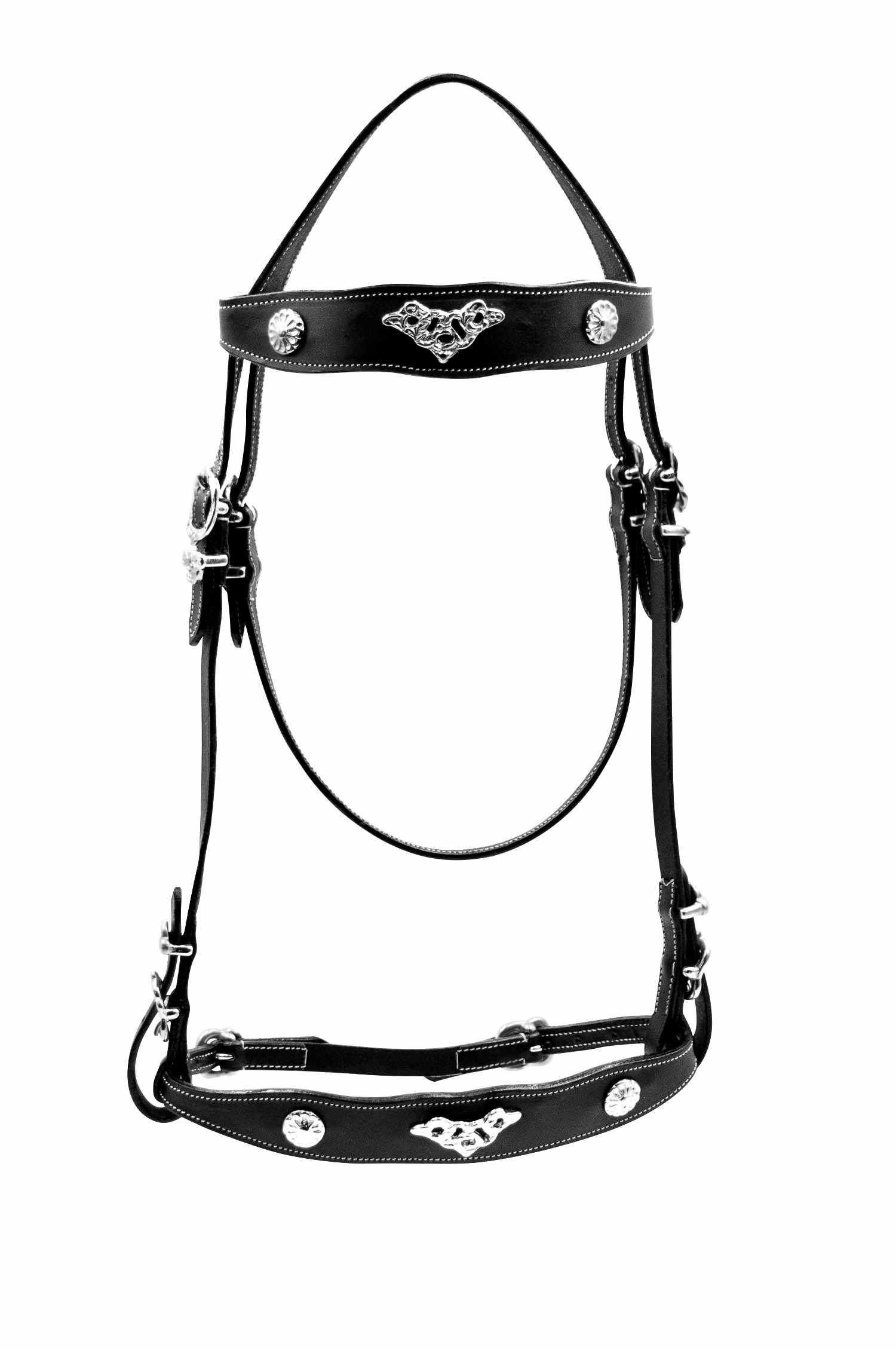 Schwarzer Zaum mit silberfarbenen Beschlägen. Detailansicht. Stirnriemen, Backenstücke und Kehlriemen.