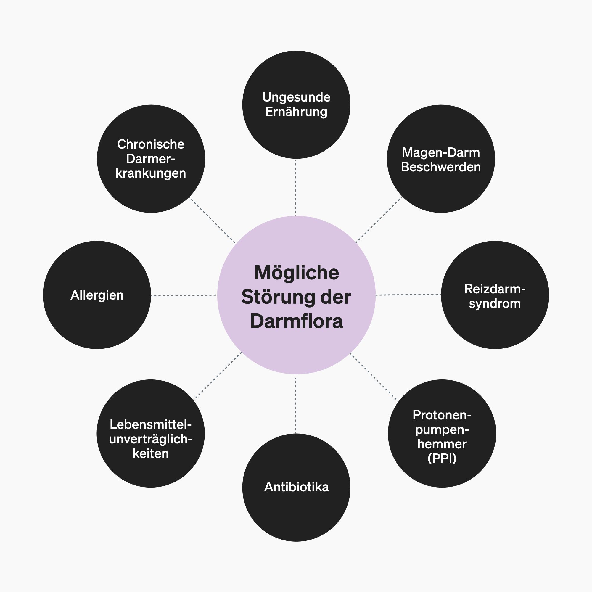 Kreisförmiges Diagramm mit Begriffen wie Allergien, Reizdarmsyndrom, Antibiotika. Zentrum: Mögliche Störung der Darmflora.