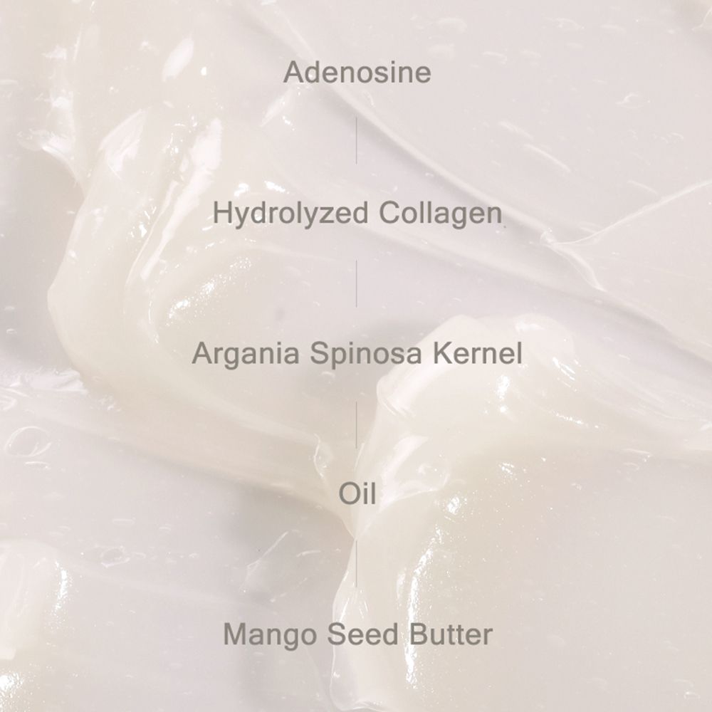 Nahaufnahme von Creme mit Text: Adenosine, Hydrolyzed Collagen, Argania Spinosa Kernel Oil, Mango Seed Butter.