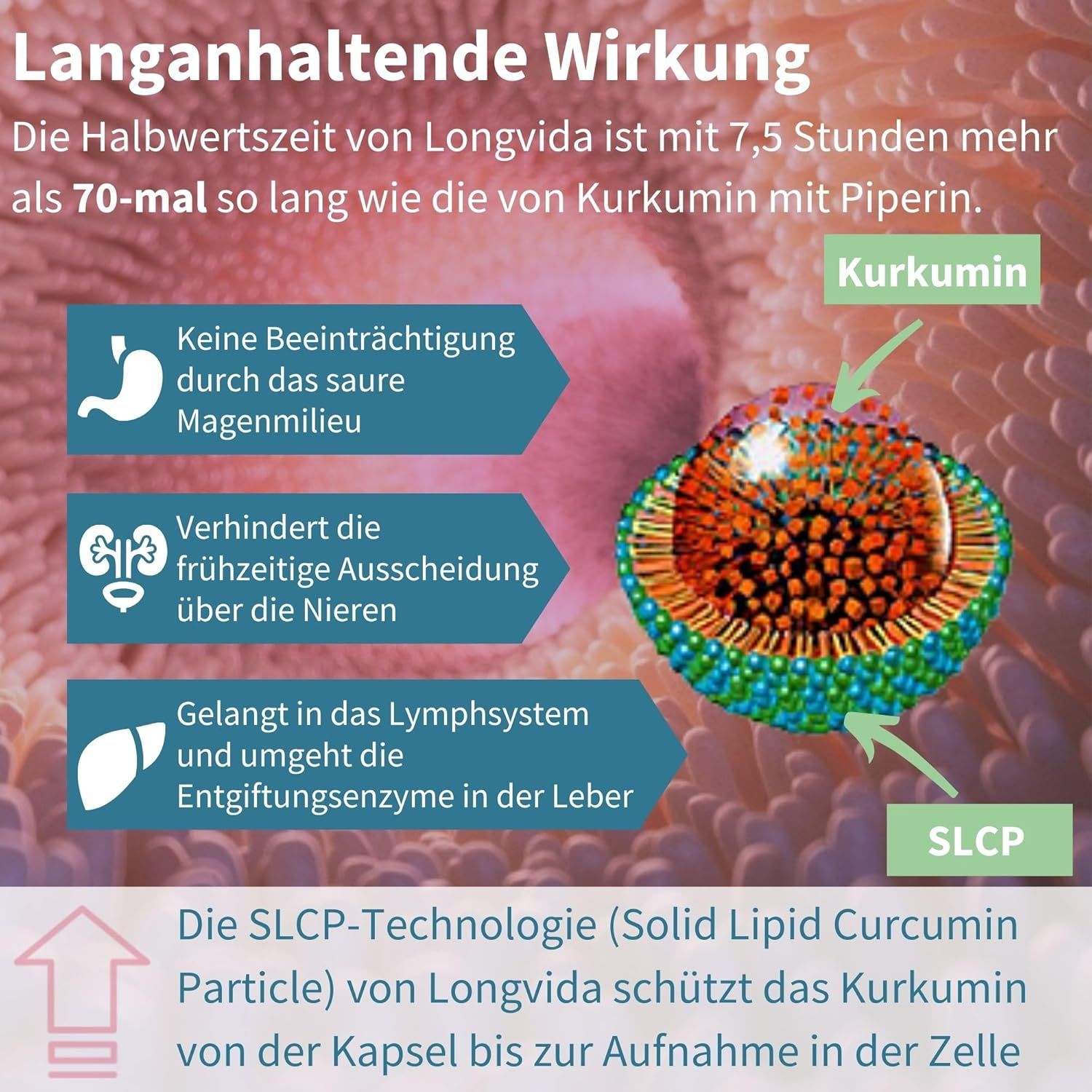 Igennus Longvida Optimised Curcumin