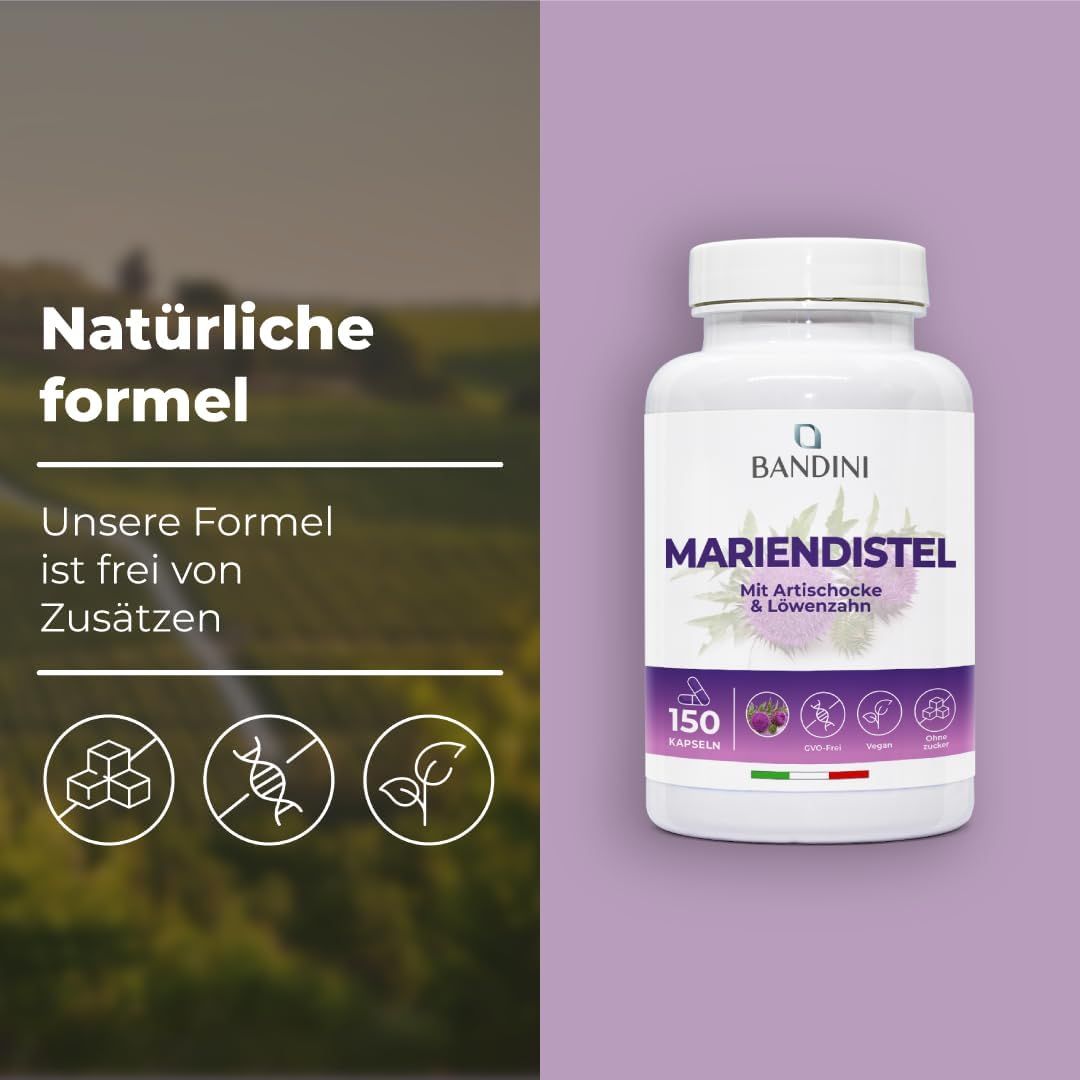 Bandini Mariendistel Artischocke und Löwenzahn-Komplex Kapseln
