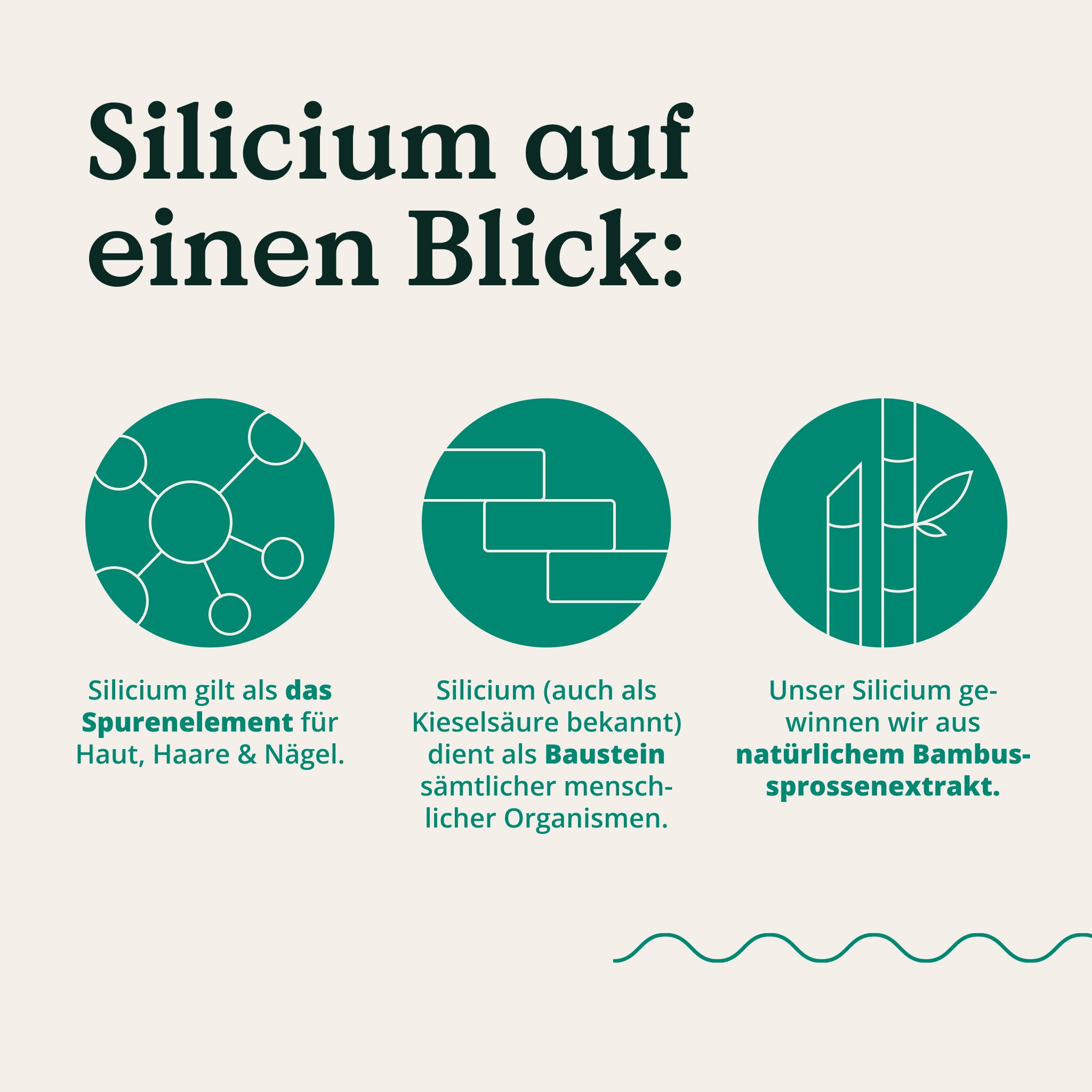 Grafik mit drei Kreisen, die Silizium erklären: Spurenelement, Baustein, Bambus-Extrakt.