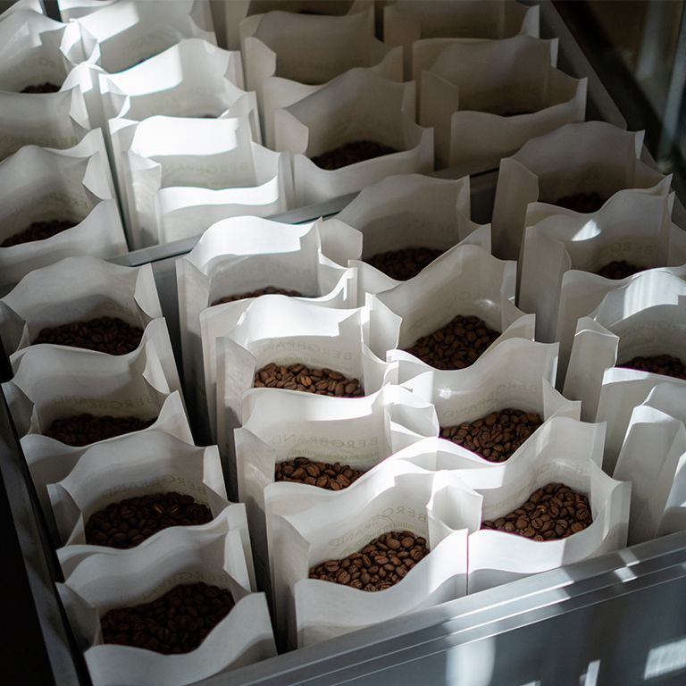 Tablett mit vielen offenen Papierbeuteln mit Kaffeebohnen. Inhalt sichtbar.
