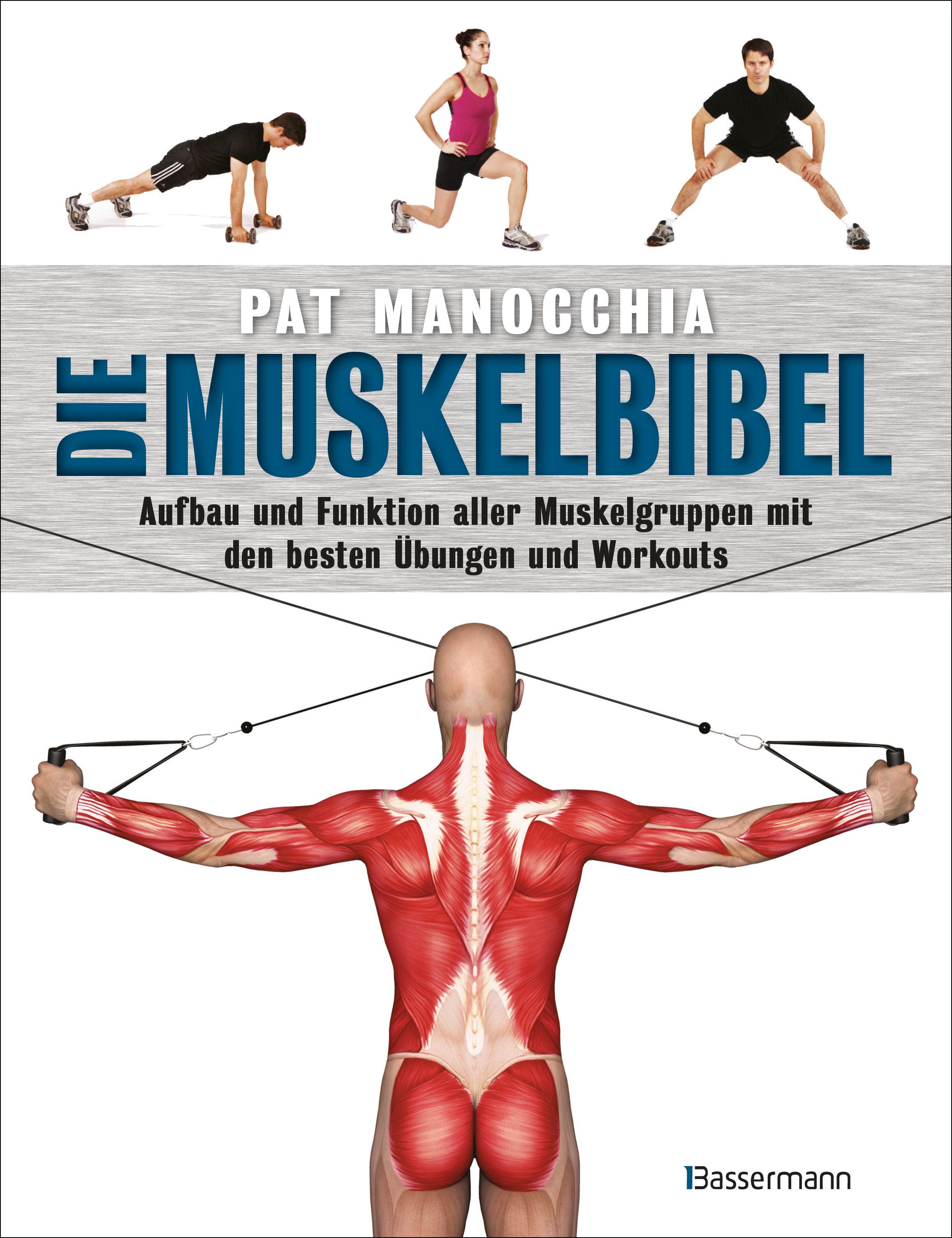 Die Muskelbibel. Aufwärmtraining, Muskelaufbautraining, Kraftausdauertraining,