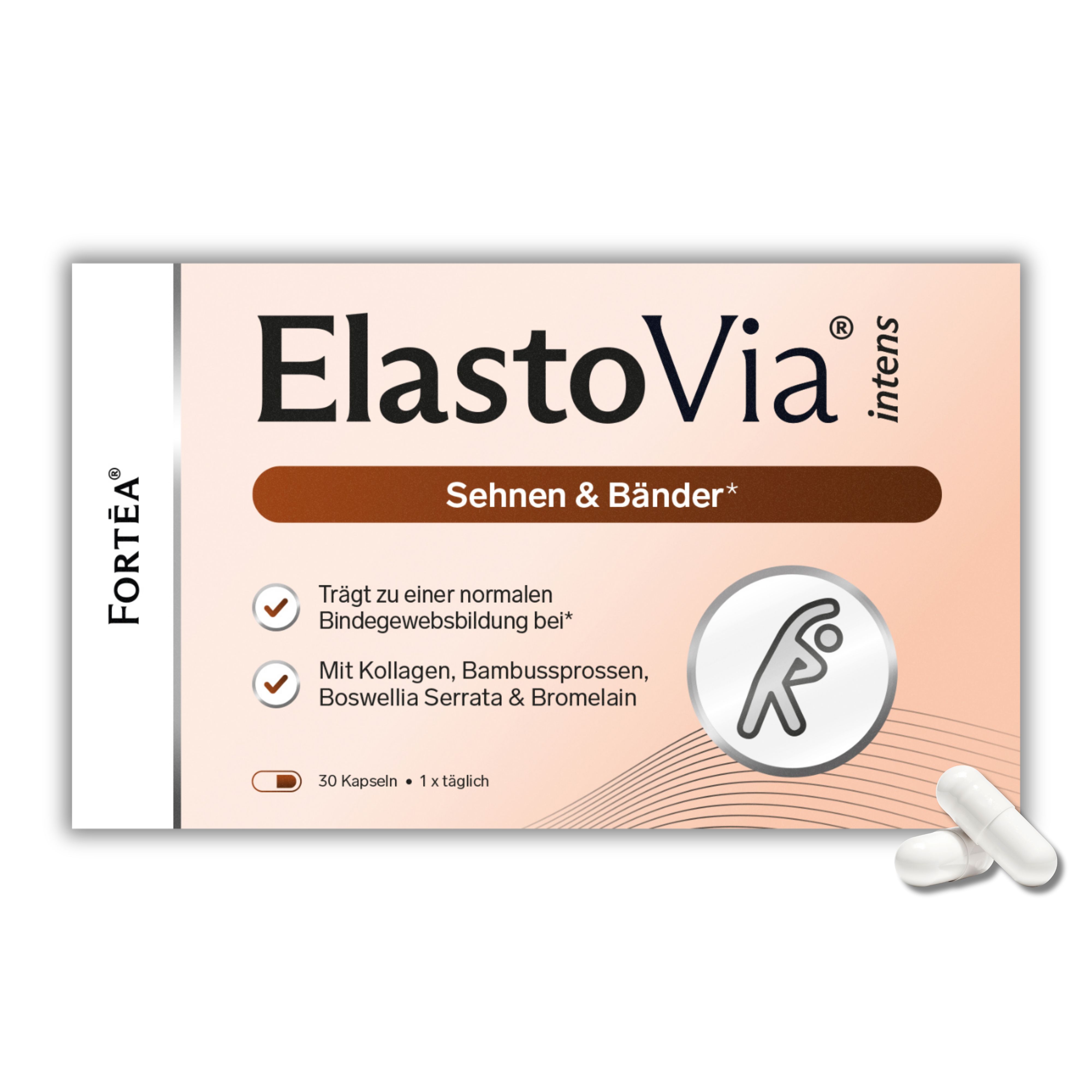 FORTEA® ElastoVia® intens – Sehnen & Bänder