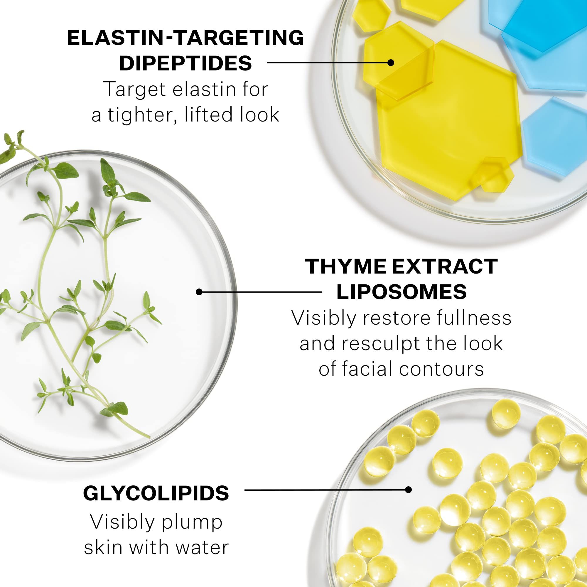 Drei Petrischalen mit Inhaltsstoffen. Beschriftung: Elastin-Targeting Dipeptide, Thymianextrakt Liposomen, Glycolipide.