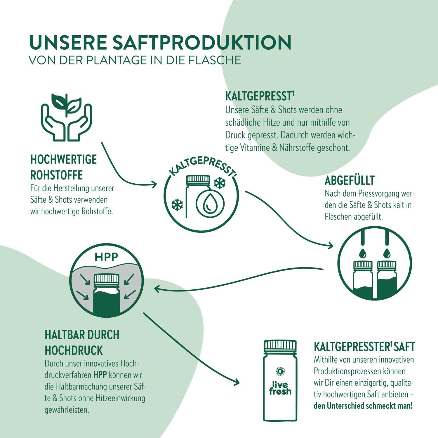 Infografik: Produktionsprozess von Säften und Shots. Hochwertige Rohstoffe, kaltgepresst, abgefüllt, haltbar durch Hochdruck, kaltgepresster Saft.
