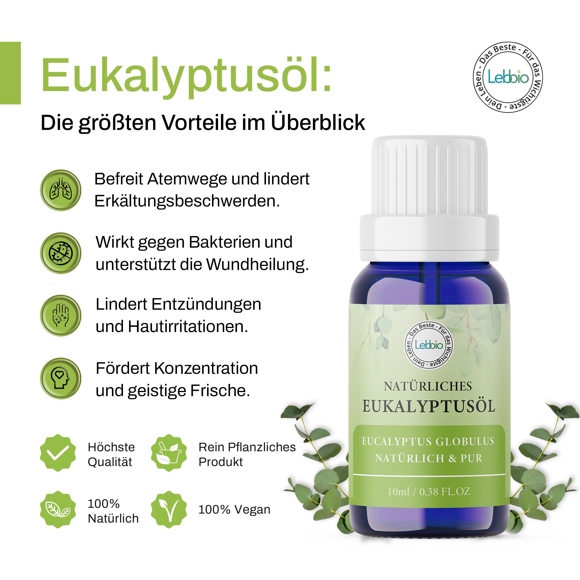Lebbio Eukalyptusöl