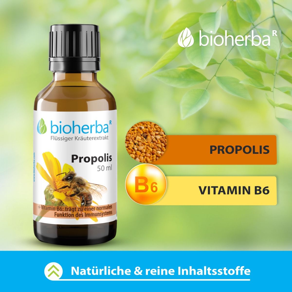 Braune Glasflasche Bioherba Propolis Tropfen, 50 ml. Schwarzer Deckel. Etikett mit Biene, Blüte, Text. Zusätzliche Elemente: Propolis, Vitamin B6.