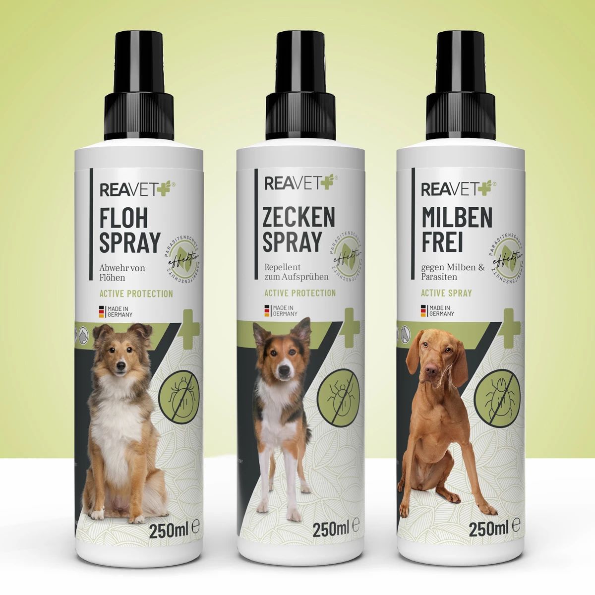 Floh Spray - ReaVET
