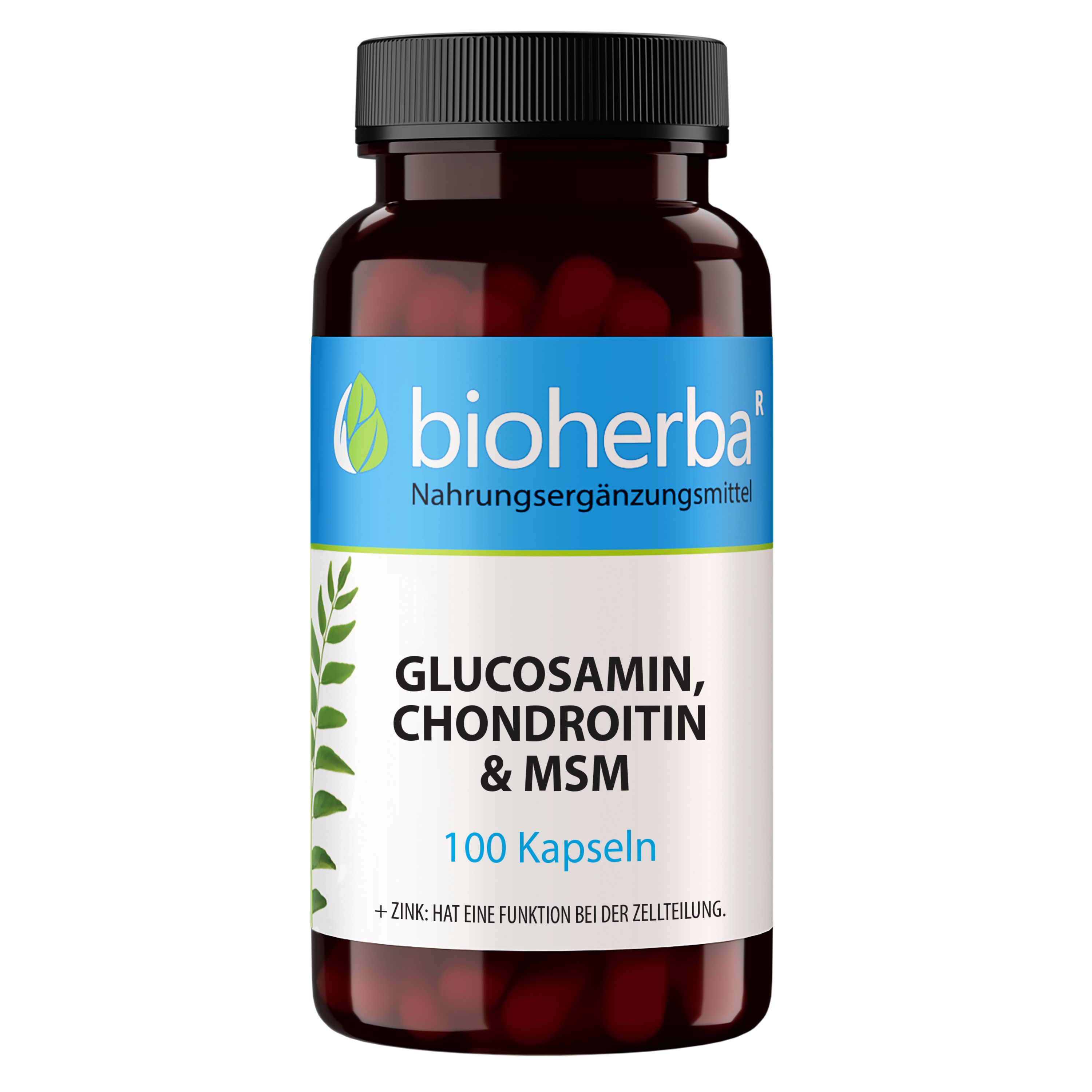 Braune Kapsel-Dose mit schwarzem Deckel. Aufschrift: Bioherba, Glucosamin, Chondroitin & MSM, 100 Kapseln. Grün-blaues Etikett.