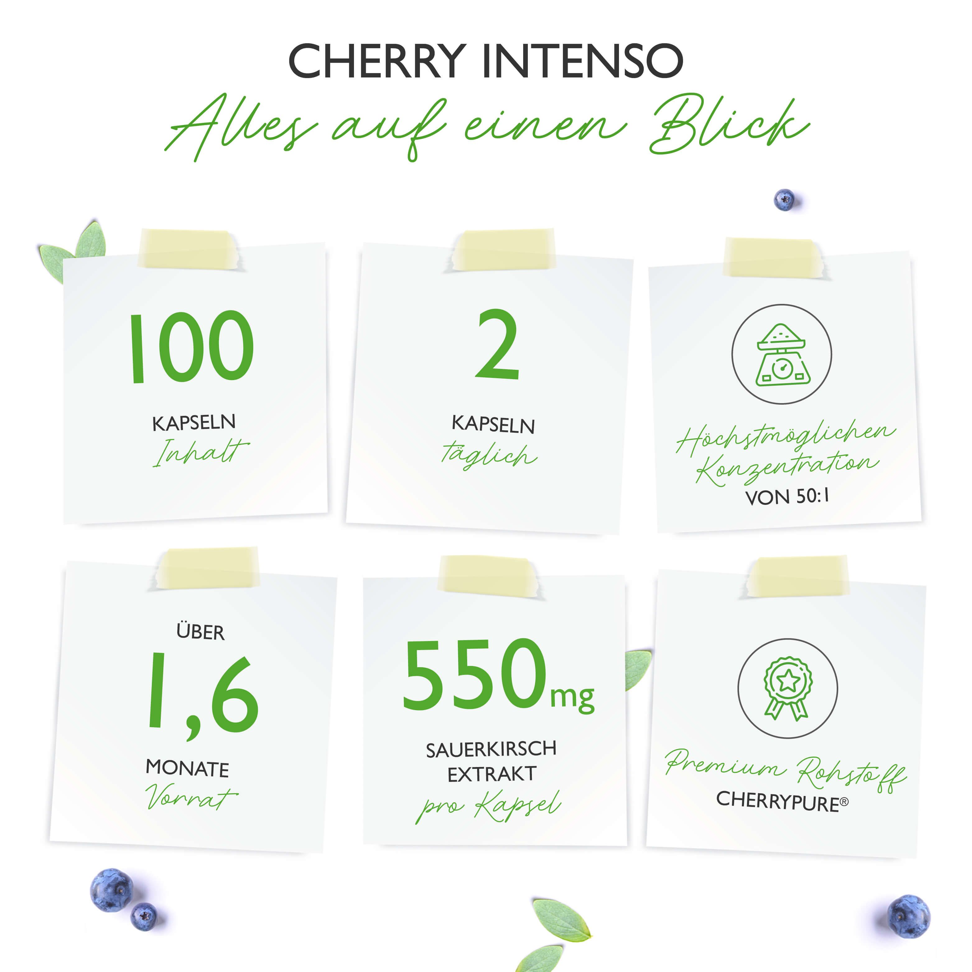 Infografik mit Notizzetteln. 100 Kapseln, 2 täglich, 50:1 Konzentration, 1,6 Monate Vorrat, 550mg Extrakt, Premium Rohstoff CherryPure.