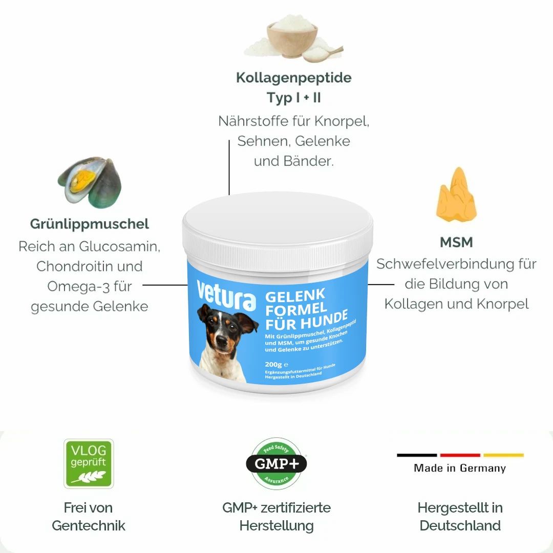 Produktabbildung mit Inhaltsstoffen. Grünlippmuschel, Kollagenpeptide, MSM. GMP+ zertifizierte Herstellung. Hergestellt in Deutschland.