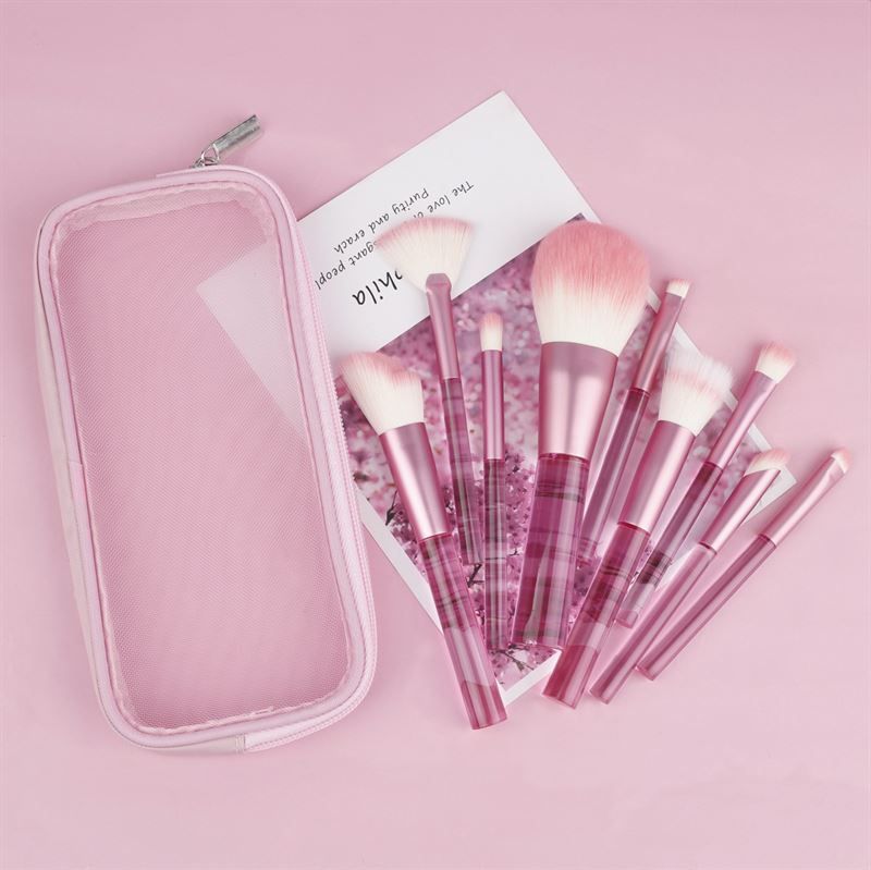 Rosa Make-up-Pinsel-Set mit Etui. Pinsel mit transparenten Griffen und rosa Borsten. Auf rosa Untergrund.