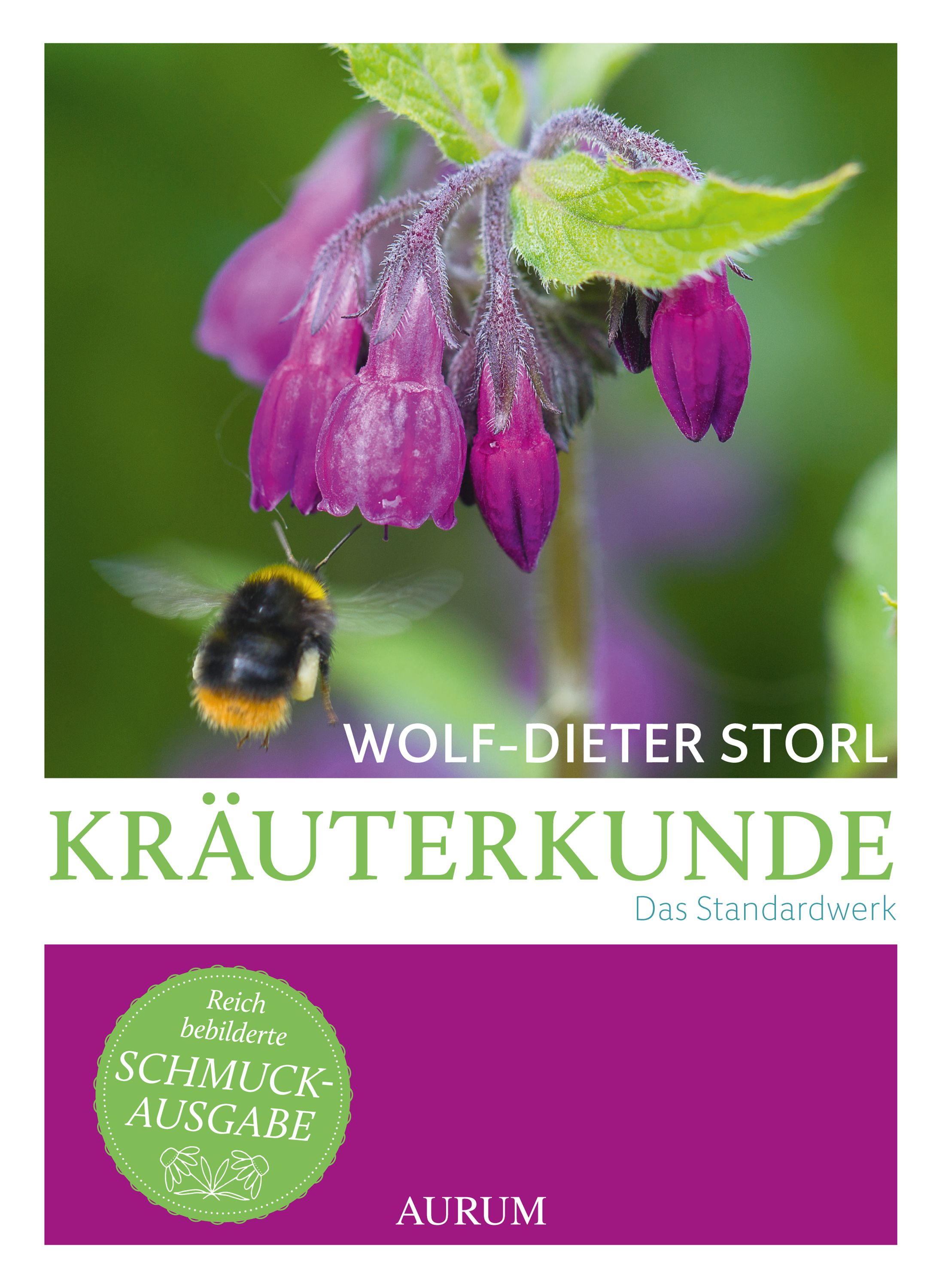 Buchcover mit lila Blüten und einer Hummel. Titel: Kräuterkunde. Autor: Wolf-Dieter Storl. Ausgabe: Schmuckausgabe. Verlag: Aurum.