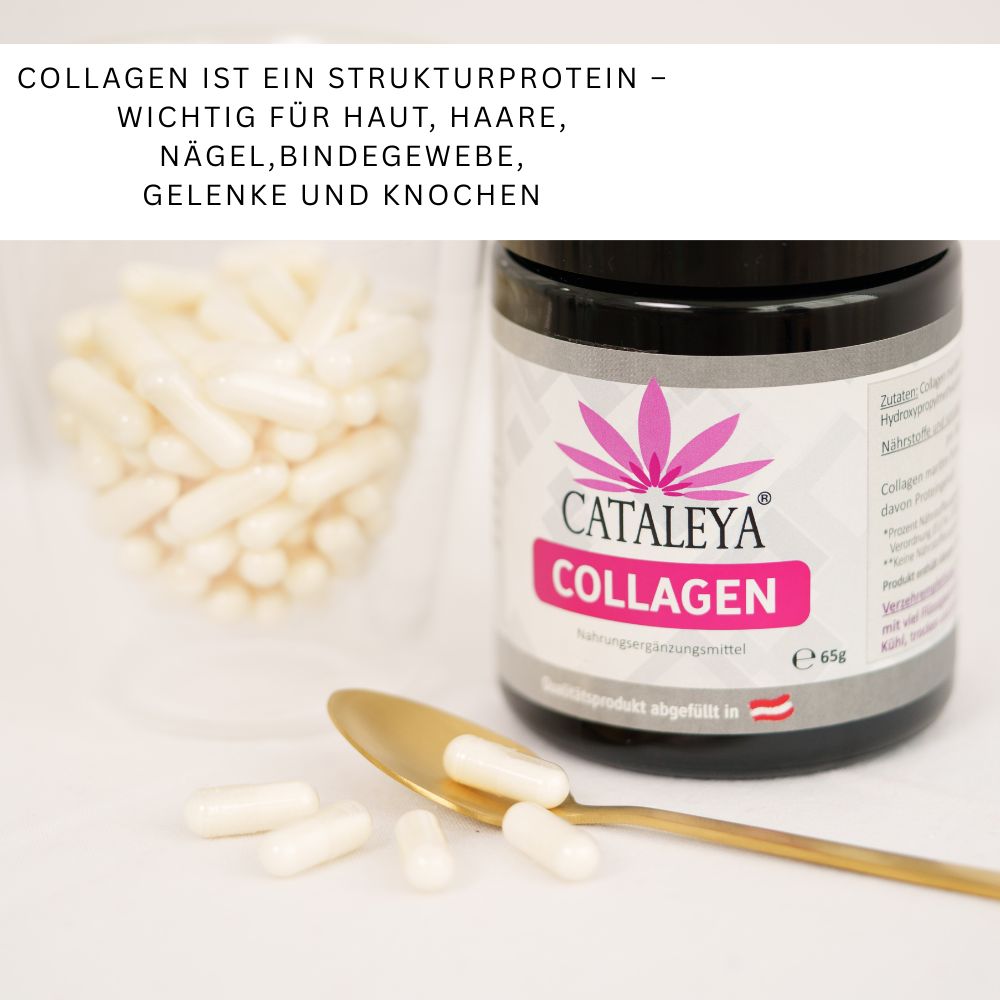 Dose und Kapseln neben goldener Löffel. Text: CATALEYA COLLAGEN. Nahrungsergänzungsmittel. Kapseln in Beutel.