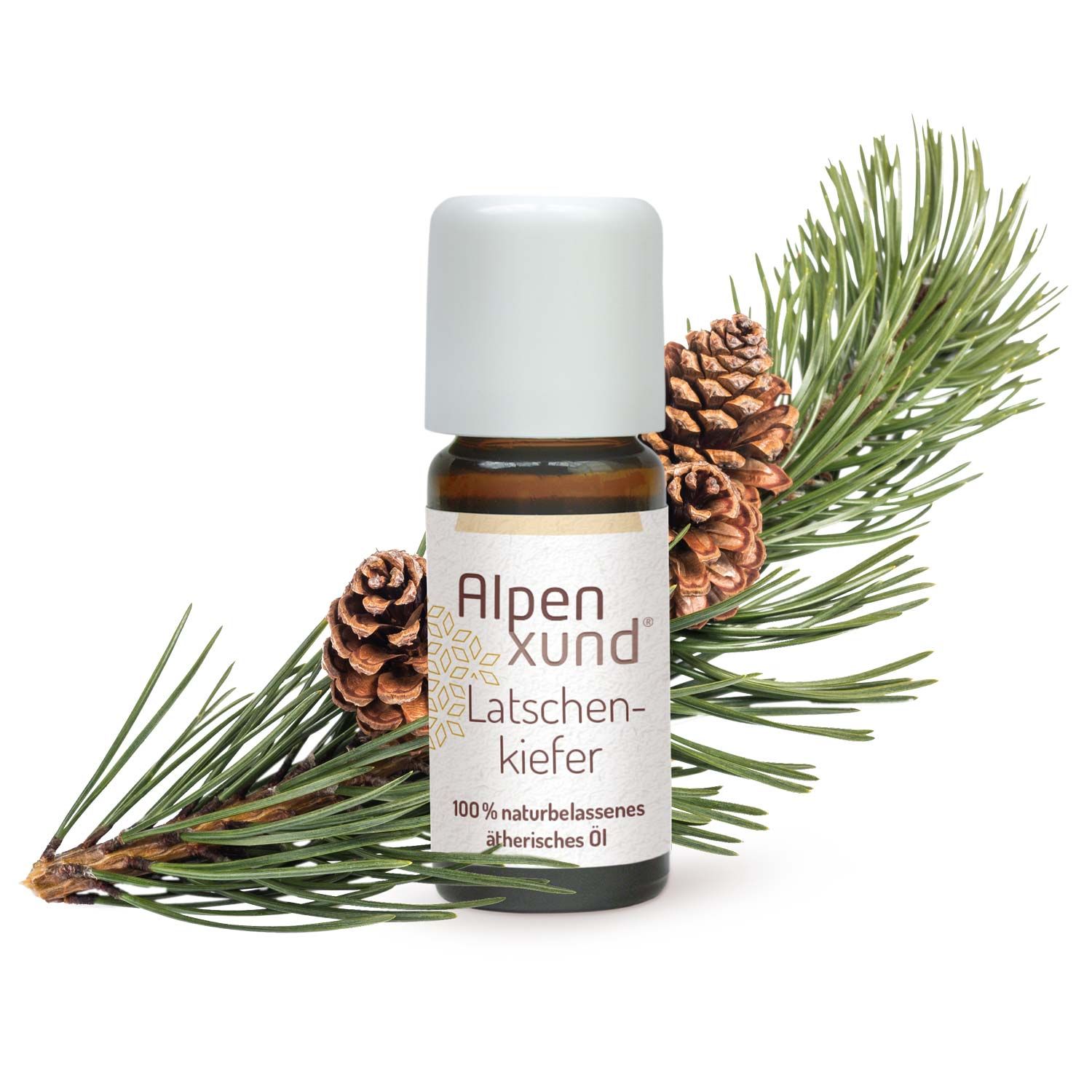 Braune Glasflasche mit weißem Deckel. Etikett mit Alpenxund, Latschenkiefer. Zweig mit Zapfen im Hintergrund.