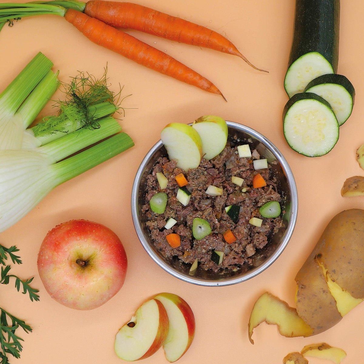 Schüssel mit Nassfutter, Gemüse und Obst. Karotten, Apfel, Zucchini und Fenchel. Auf hellem Untergrund.