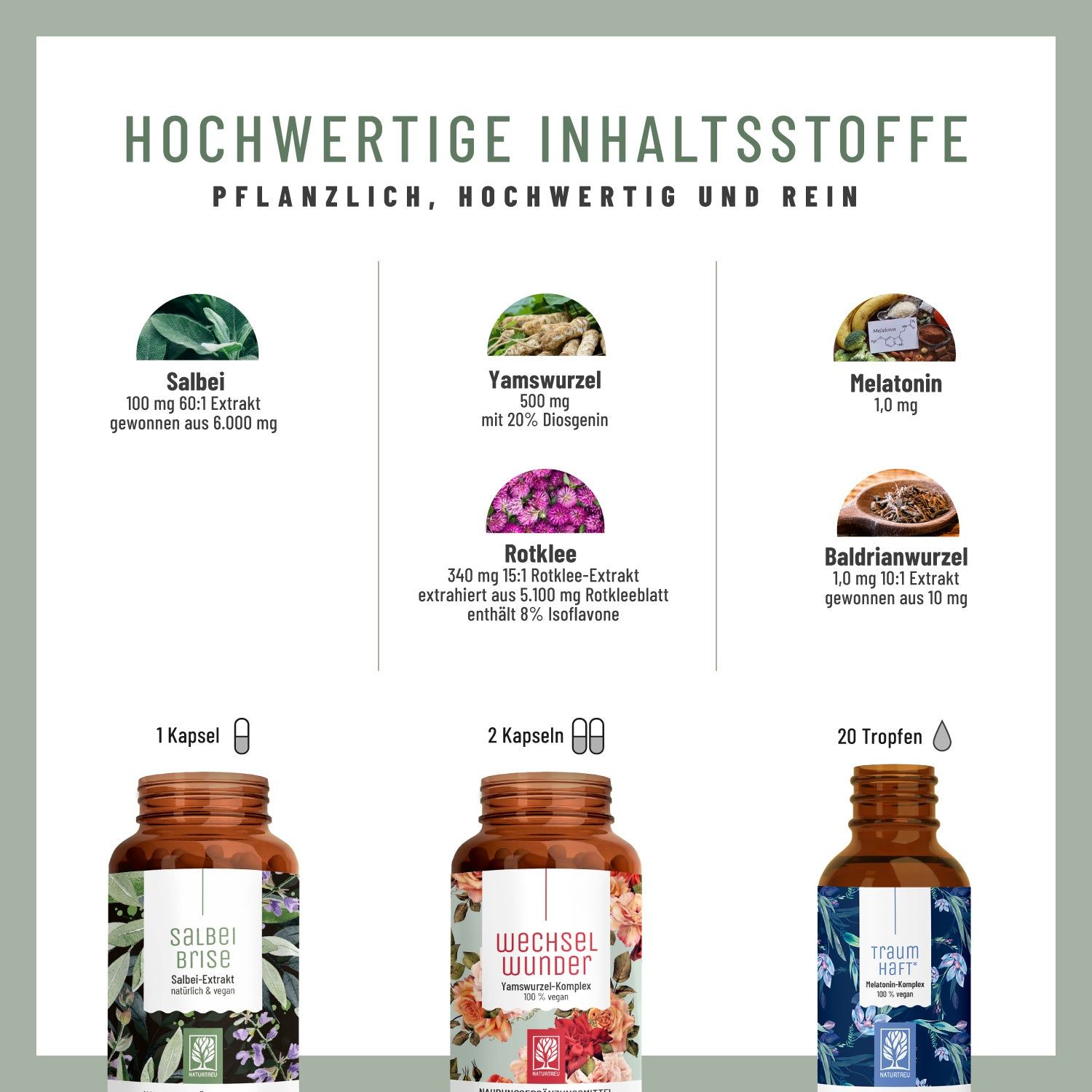 Infografik mit Inhaltsstoffen. Salbei, Yamswurzel, Melatonin, Rotklee, Baldrianwurzel. Flaschen mit Kapseln und Tropfen.