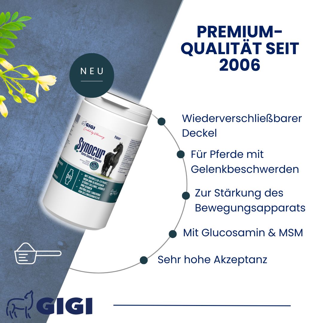 Produkt in Dose, mit Text: Synocur, GIGI. Text: Premium-Qualität seit 2006. Wiederverschließbarer Deckel. Für Pferde mit Gelenkbeschwerden.