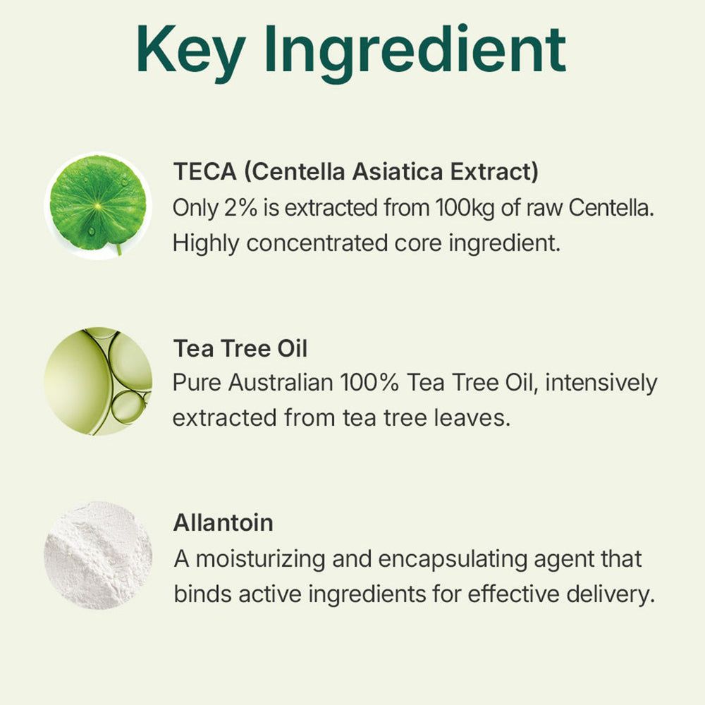 Text: Hauptbestandteil. TECA (Centella Asiatica Extrakt), Tea Tree Oil, Allantoin. Abbildungen der Inhaltsstoffe.