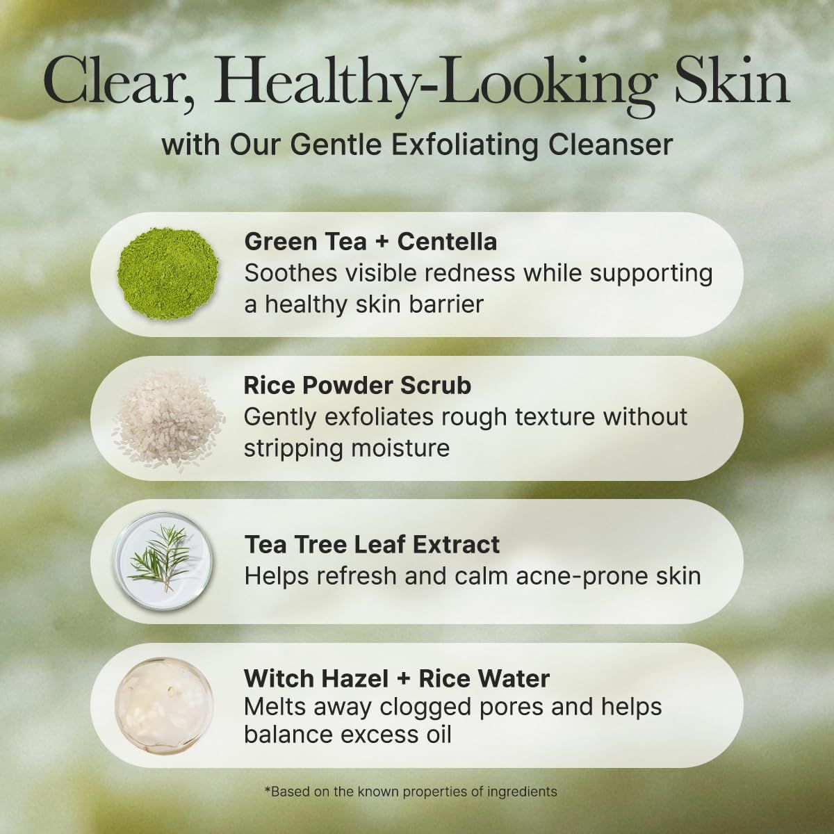 Infografik mit Inhaltsstoffen des Reinigers. Grüntee + Centella, Reis-Puder-Peeling, Teebaumblatt-Extrakt, Hamamelis + Reiswasser.
