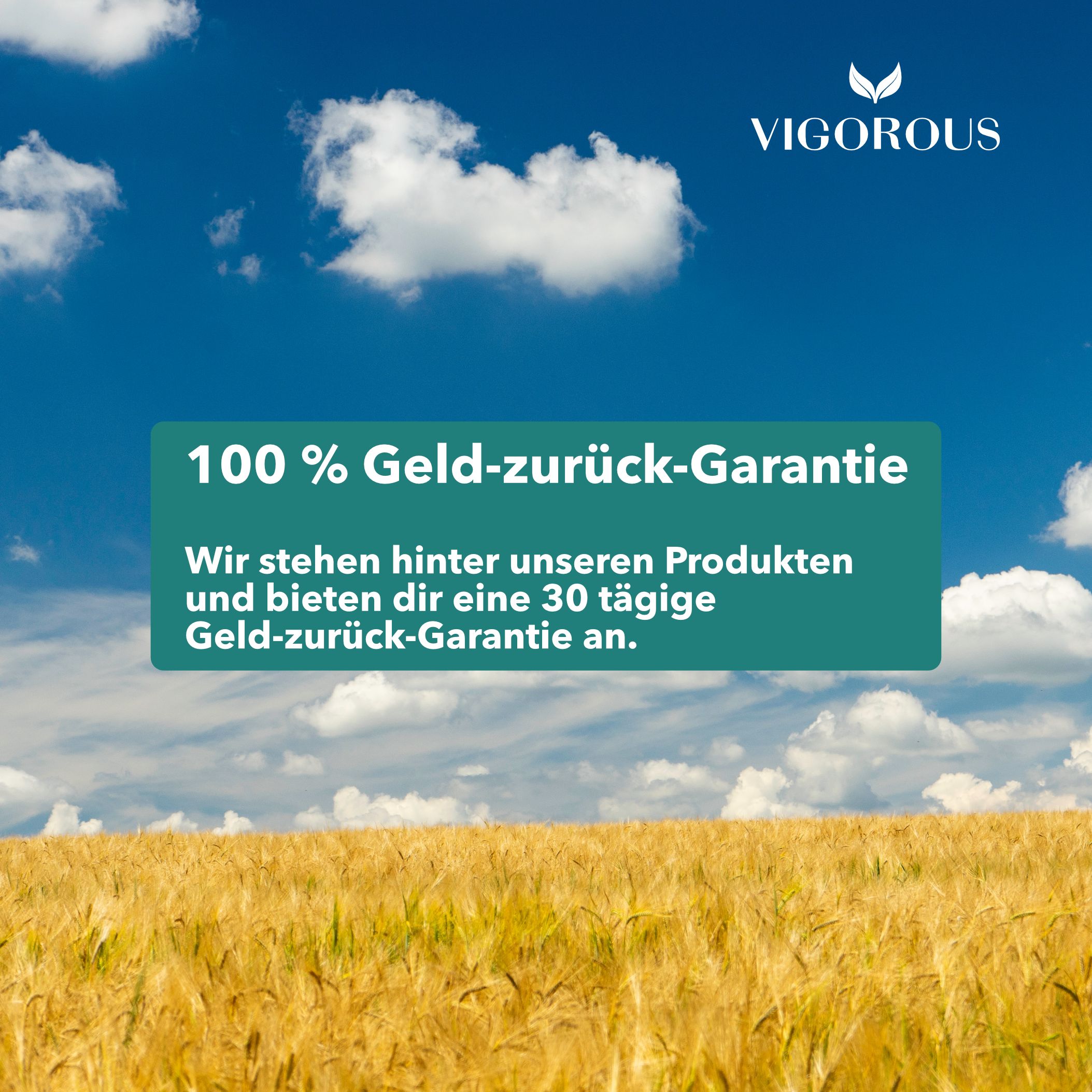 Feld unter blauem Himmel. Text: 100 % Geld-zurück-Garantie. Wir stehen hinter unseren Produkten und bieten dir eine 30-tägige Geld-zurück-Garantie an.