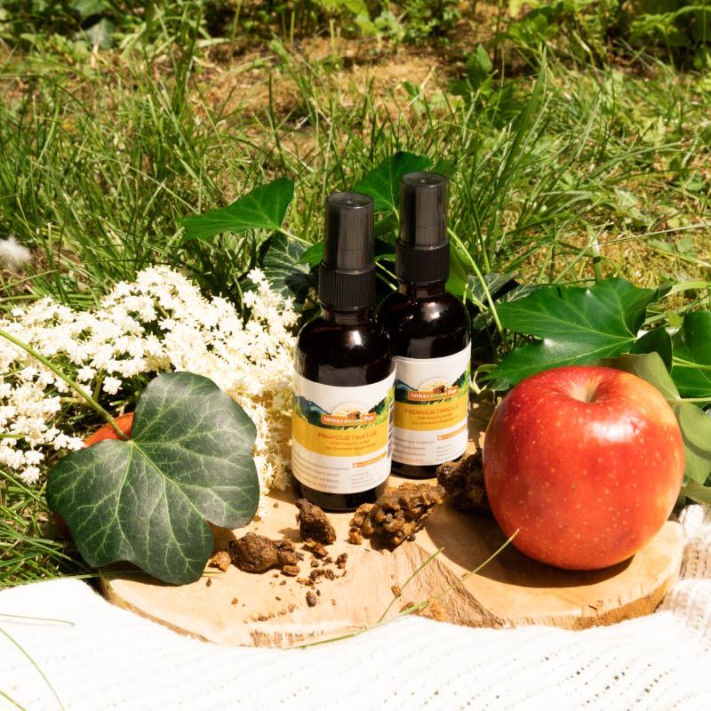 Zwei braune Flaschen mit Etikett auf einem Holzbrett, umgeben von Blättern, Blumen und einem Apfel. Auf den Etiketten steht "ImkerPur Propolis Tinktur".