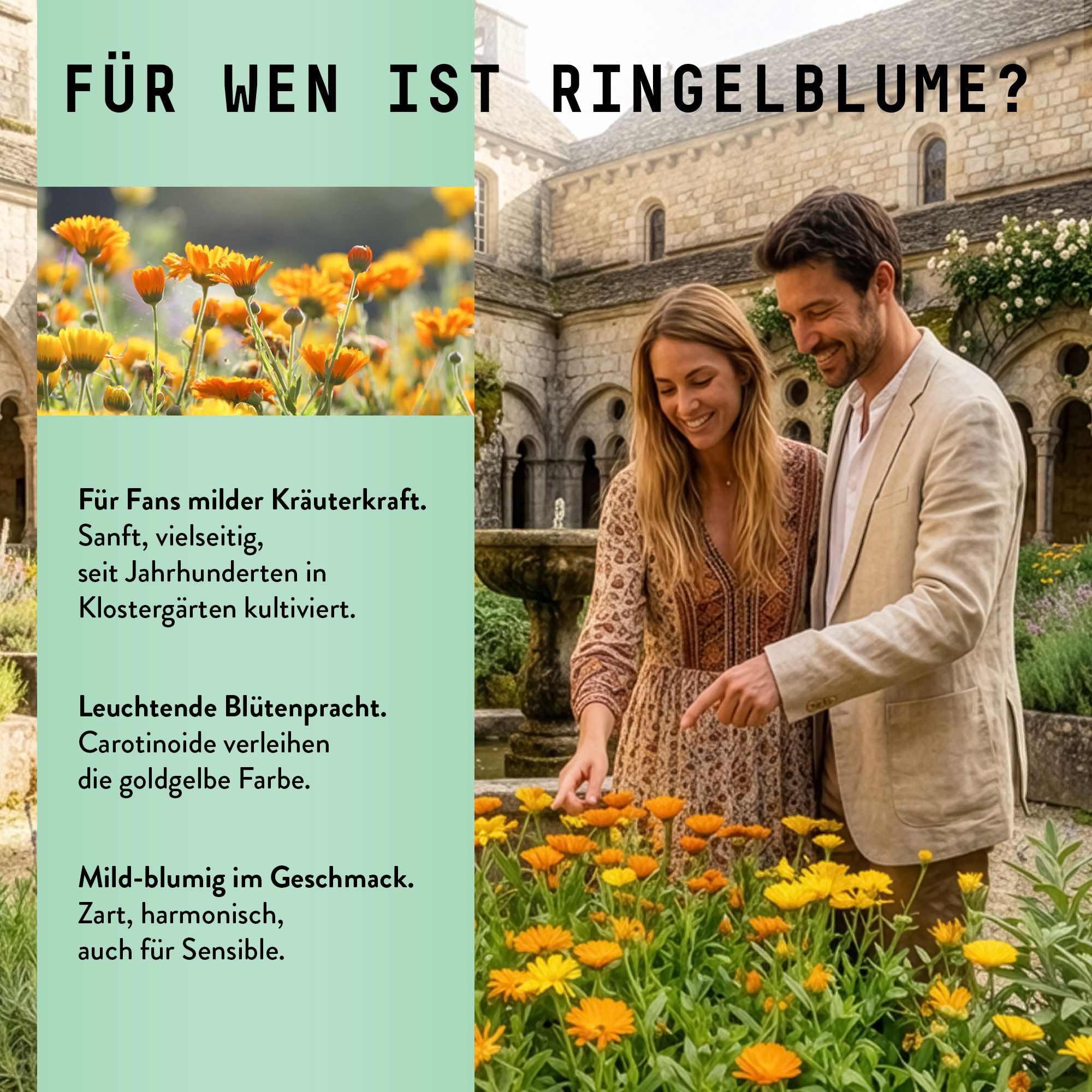 Paar betrachtet Ringelblumenblüten. Text: Für wen ist Ringelblume? Leuchtende Blütenpracht. Hintergrund: Klostergarten.