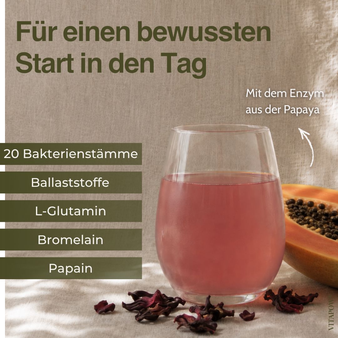 Glas mit rotem Getränk, Papaya-Frucht und Hibiskusblüten. Links daneben Infoboxen zu 20 Bakterienstämmen, Ballaststoffen, L-Glutamin, Bromelain, Papain.