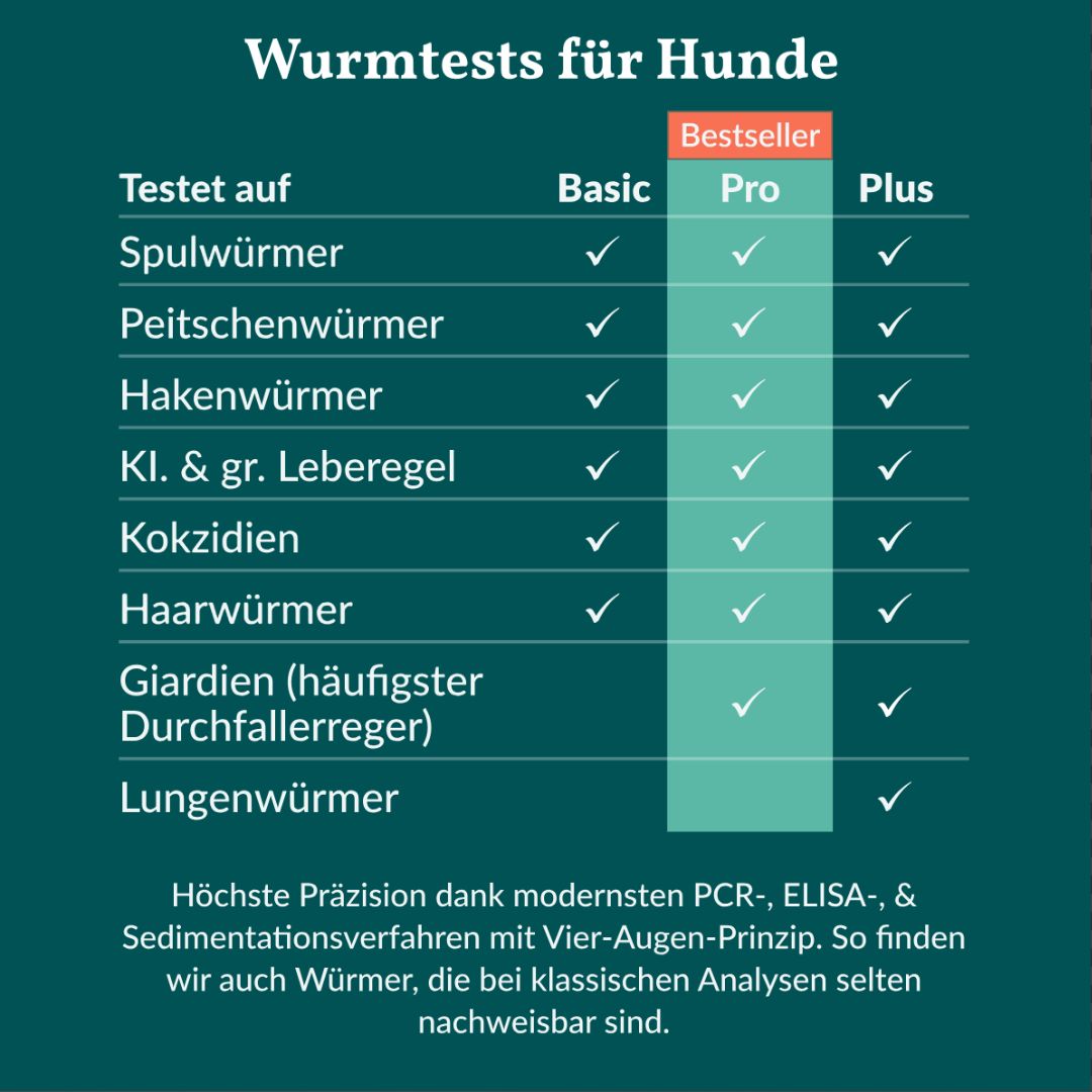 Tabelle: Wurmtests für Hunde. Vergleich Basic, Pro, Plus. Testet auf verschiedene Wurmarten. Bestseller-Kennzeichnung.