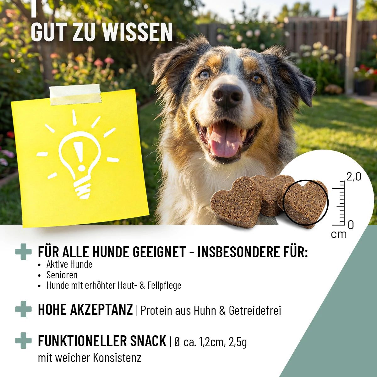 Hund mit Leckerlis. Text: Gut zu wissen, für alle Hunde geeignet, hoher Akzeptanz, funktioneller Snack. Maße: ca. 1,2cm, 2,5g.
