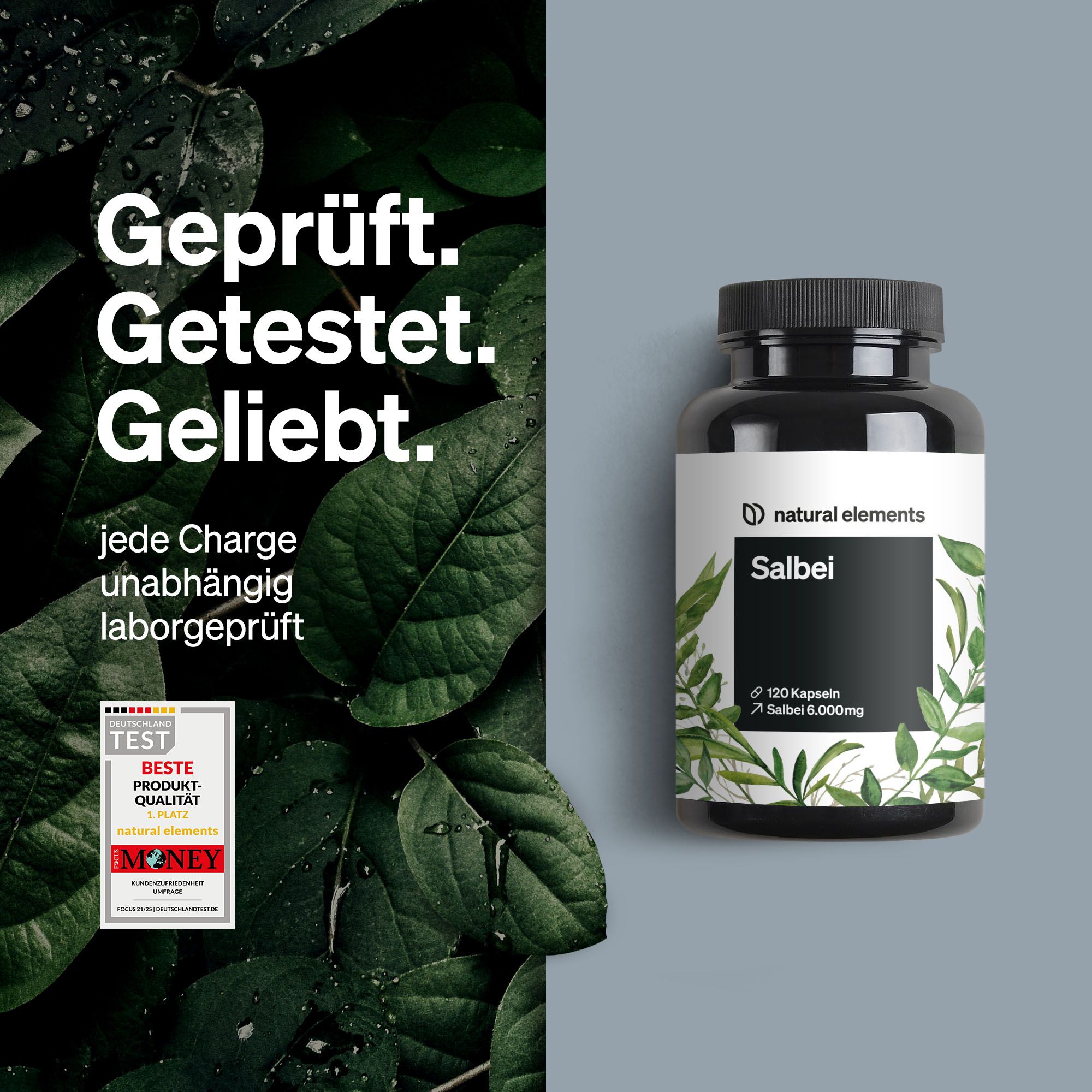 Schwarze Flasche mit weißem Etikett. Aufschrift: natural elements Salbei, 120 Kapseln, Salbei 6.000mg. Mit Qualitätszeichen.