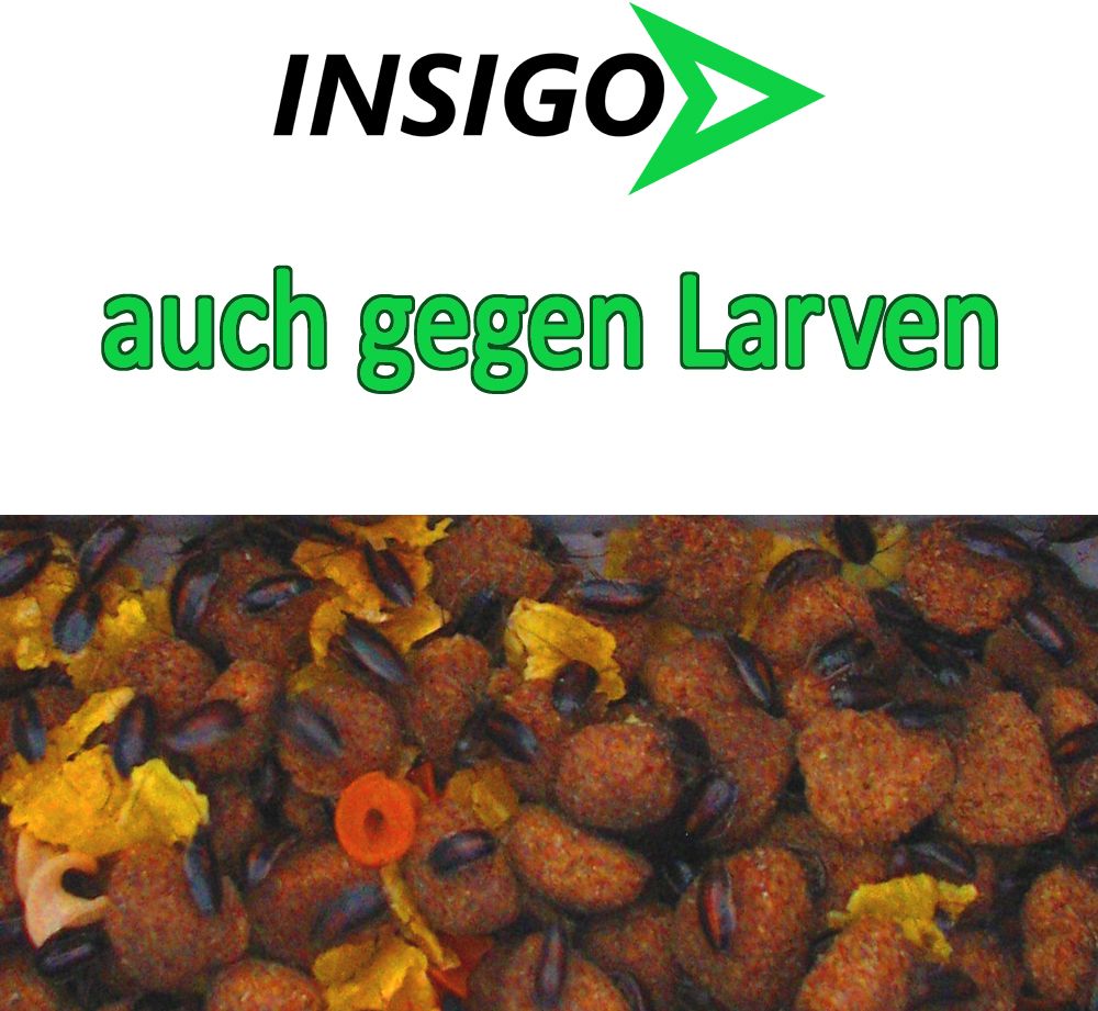 INSIGO Universal Insektenspray