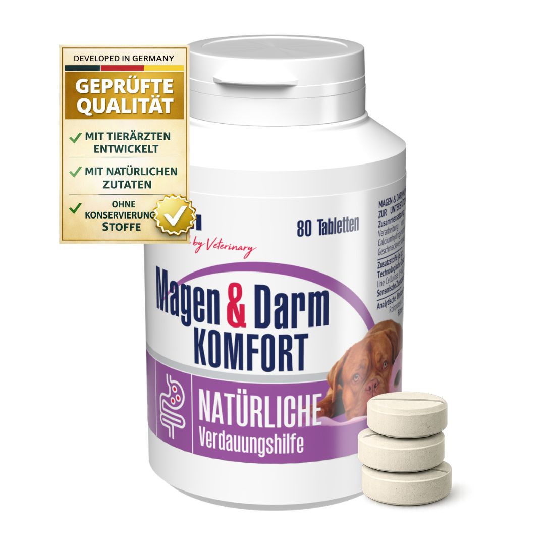 Flasche GIGI VET Magen & Darm Komfort mit Tabletten. Text: Geprüfte Qualität. 80 Tabletten. Logo: GIGI.