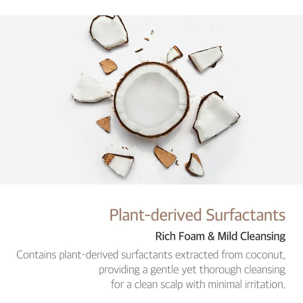 Kokosnuss-Stücke. Text: Plant-derived Surfactants, Rich Foam & Mild Cleansing. Enthält Tenside aus Kokosnuss für sanfte Reinigung.