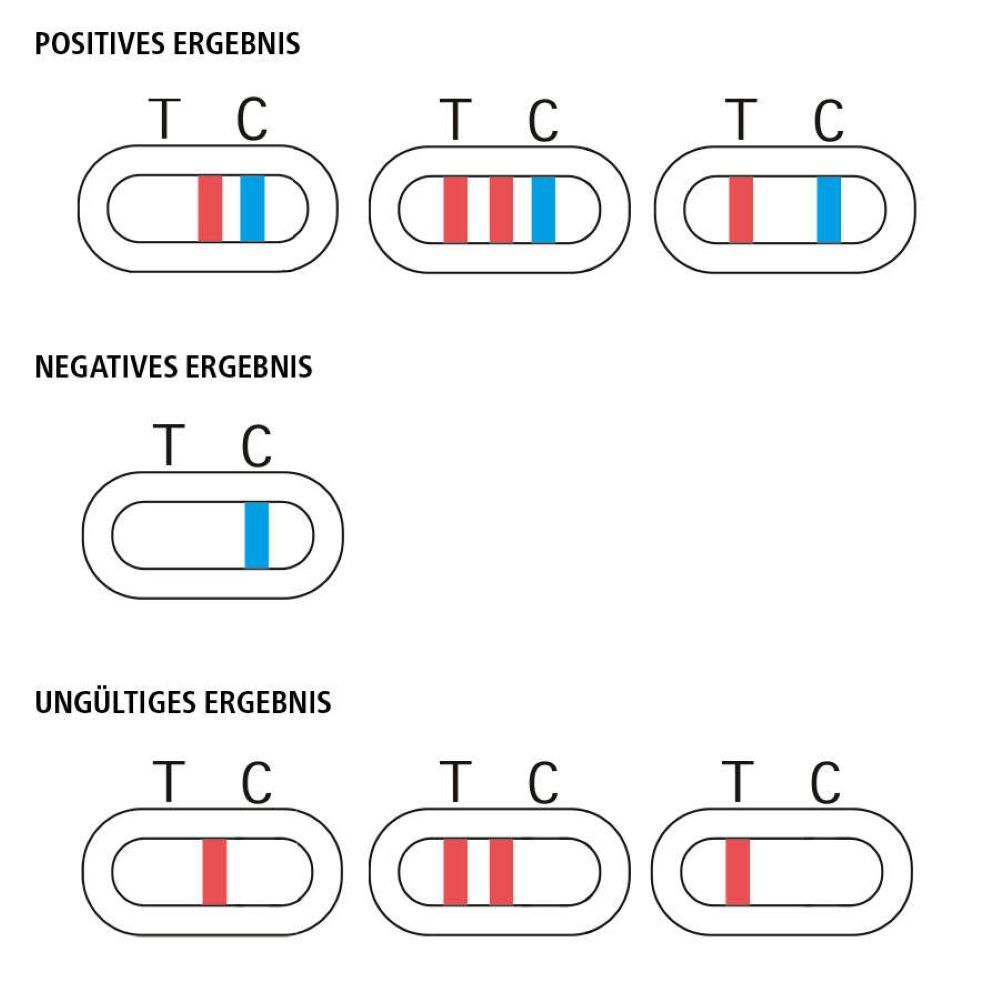 Ergebnisdarstellung: Positive, negative und ungültige Testergebnisse mit farbigen Linien auf Teststreifen.