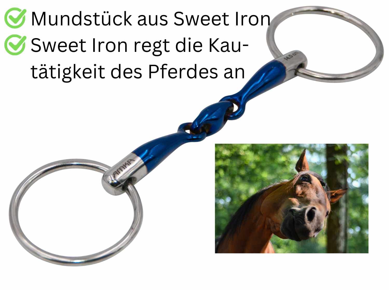 Doppelt gebrochene Trense mit blauem Mittelstück. Text: Mundstück aus Sweet Iron. Bild: Pferd.