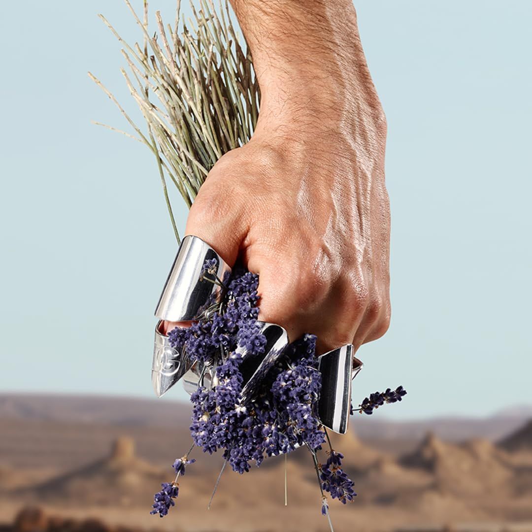 Hand mit silbernen Fingerschutz hält Lavendel und trockene Pflanzen. Hintergrund: Wüstenlandschaft.