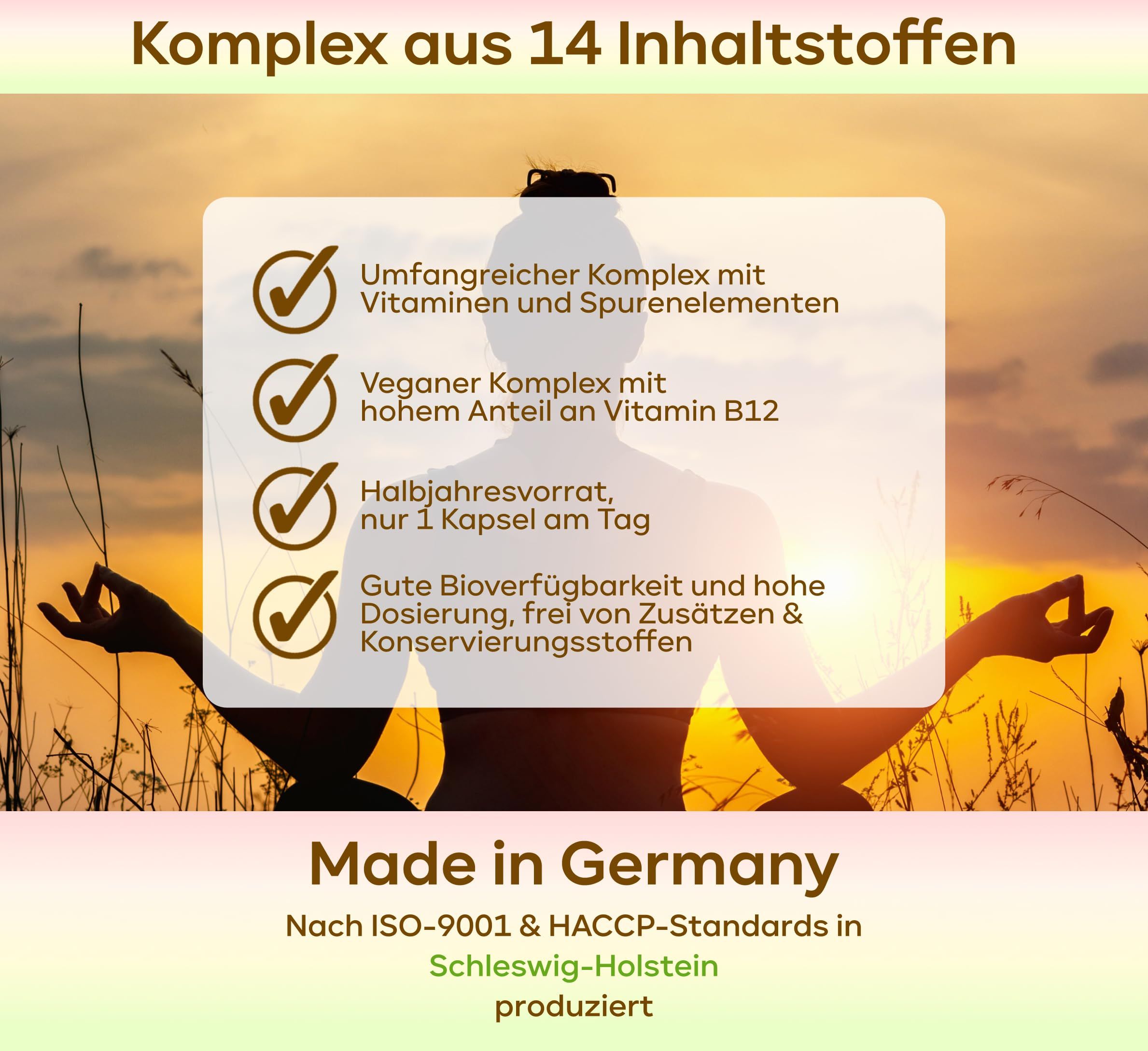 Grafik mit vier Check-Symbolen. Text: Umfassender Komplex mit Vitaminen, veganer Komplex, Halbjahresvorrat, gute Bioverfügbarkeit. Made in Schleswig-Holstein.