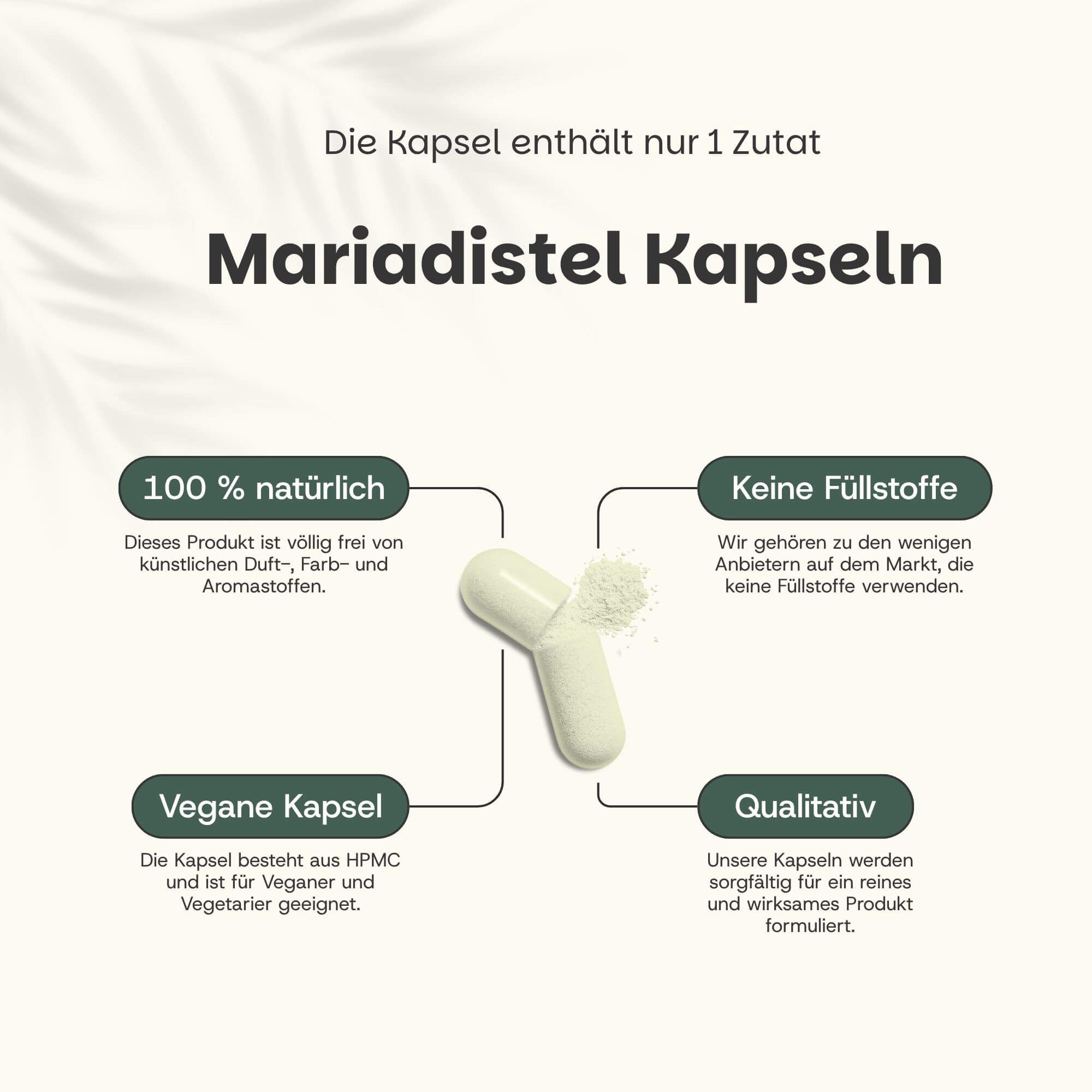 Kapsel, geöffnet. Text: Mariendistel Kapseln. 100% natürlich, keine Füllstoffe, vegane Kapsel, qualitativ.