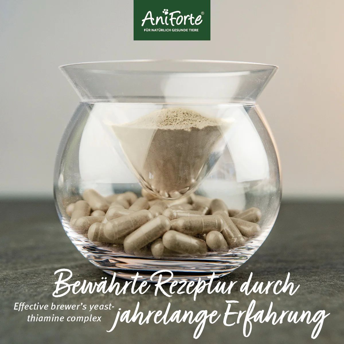 Glasbehälter mit Kapseln und Pulver. Text: Bewährte Rezeptur durch jahrelange Erfahrung. Effective brewer's yeast-thiamine complex.