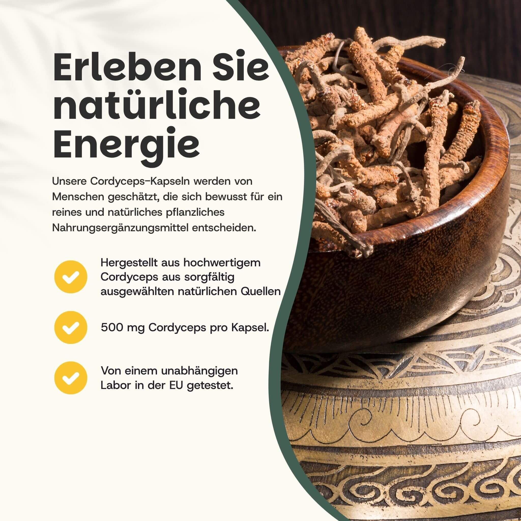 Cordyceps-Pilze in einer Holzschale. Text: Erleben Sie natürliche Energie. 500 mg Cordyceps pro Kapsel. Getestet in der EU.