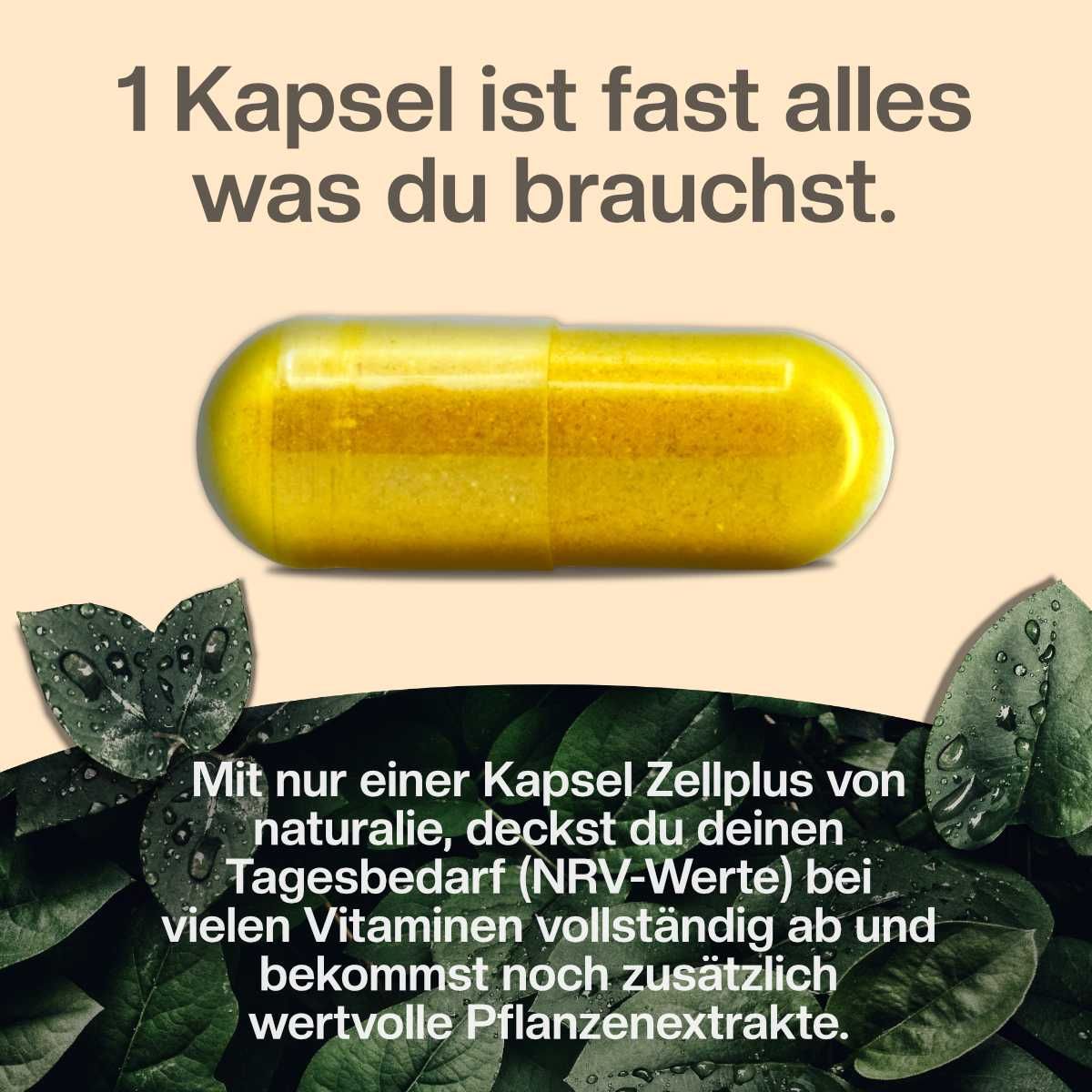 Flasche Zellplus Multivitamin-Komplex neben einem lächelnden Paar. Text hebt 13 Vitamine, 10 Pflanzenextrakte hervor.