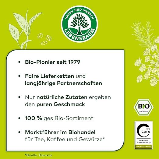 Bio Früchte-Gewürztee Ingwer und Elan
