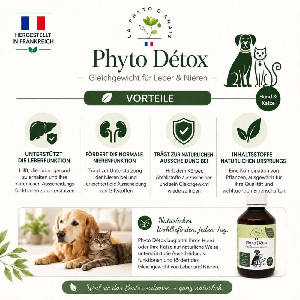 Phyto Mobilité Articulaire Flasche mit 250ml, für Hunde und Katzen, für Beweglichkeit und Gelenkkomfort.