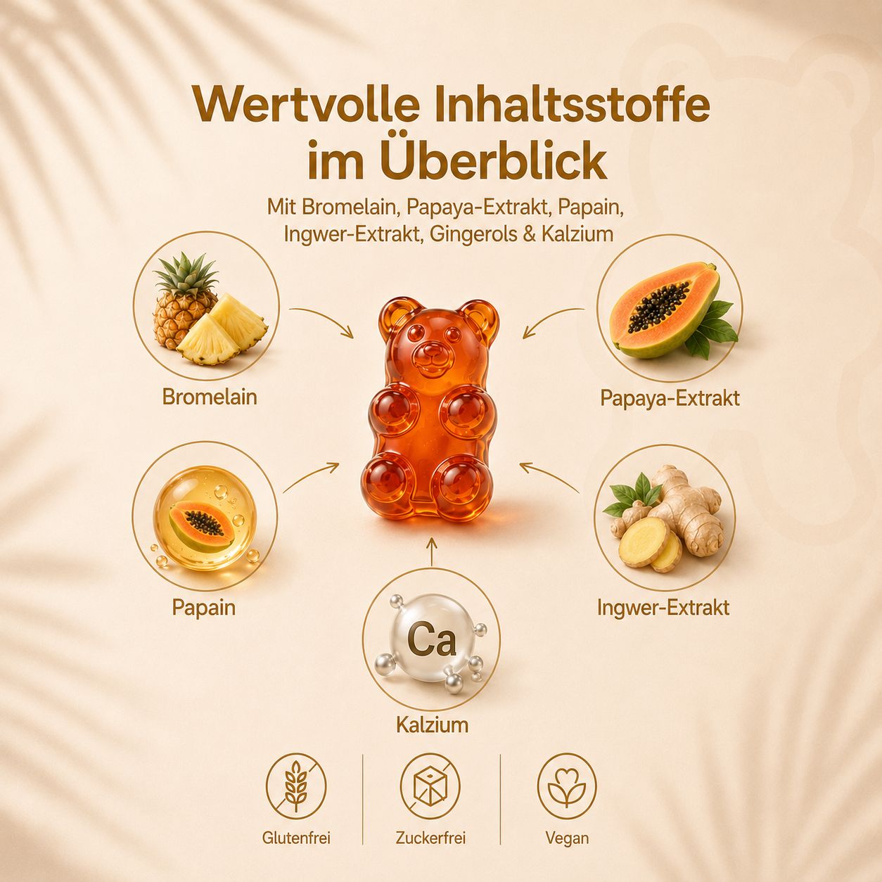 Übersicht der Inhaltsstoffe von Gummily Bromelain Papain Gummibärchen: Bromelain, Papain, Ingwer, Kalzium.