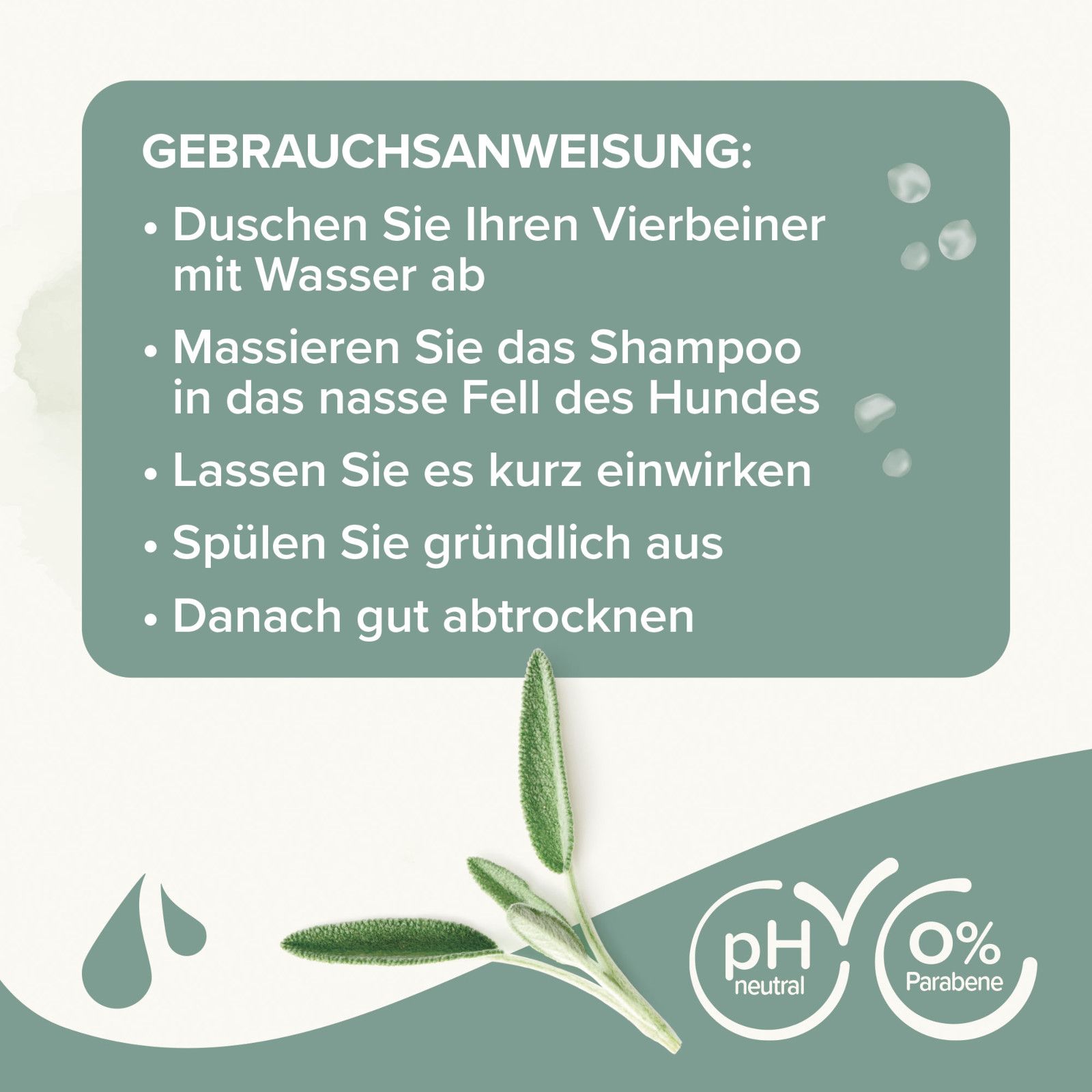Text: Gebrauchsanweisung: Duschen, Shampoo einmassieren, einwirken lassen, ausspülen, abtrocknen. pH-neutral, 0% Parabene. Abbildung: Salbei.