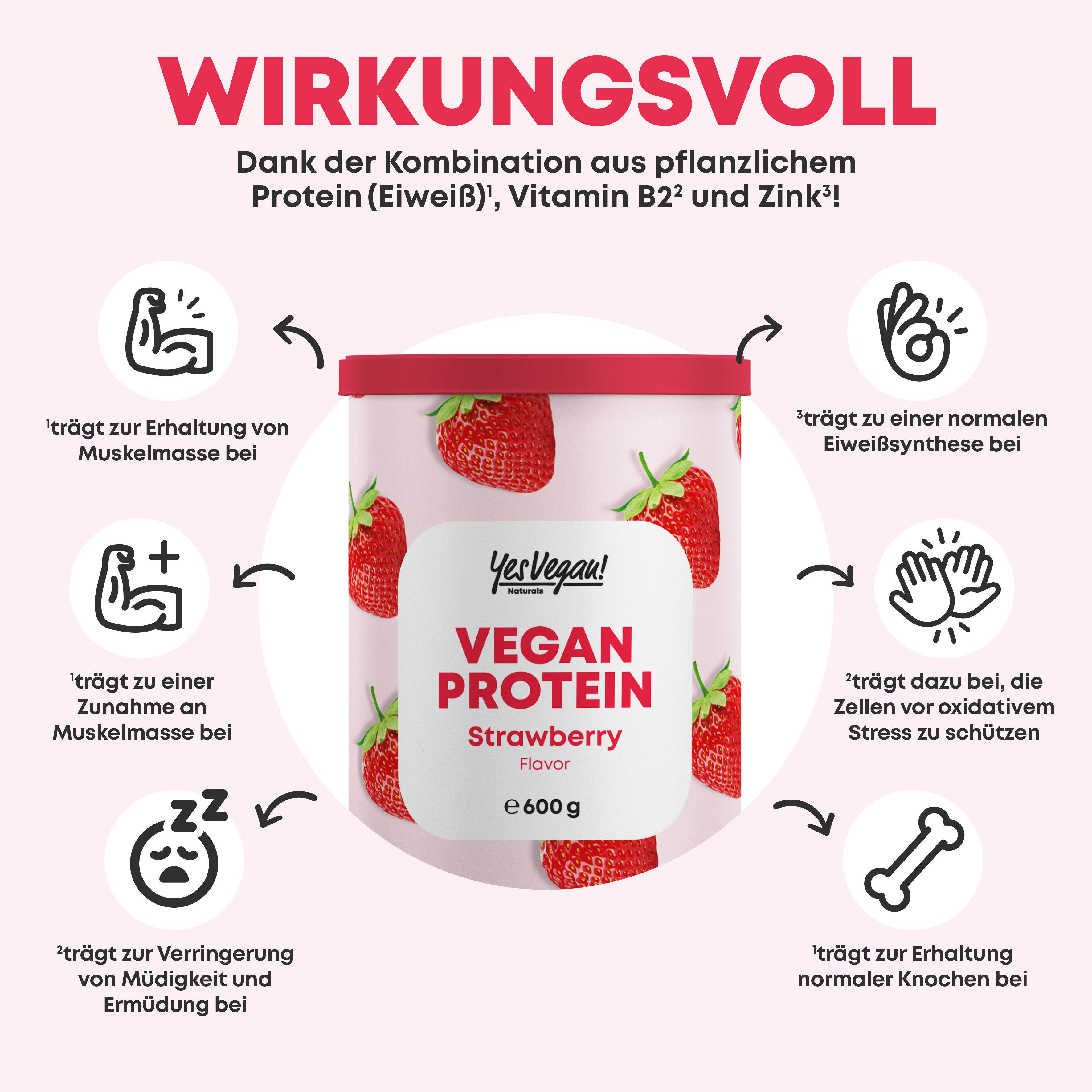 Dose Erdbeer-Proteinpulver mit Icons. Icons zeigen Vorteile wie Muskelaufbau, Knochengesundheit und weniger Müdigkeit.