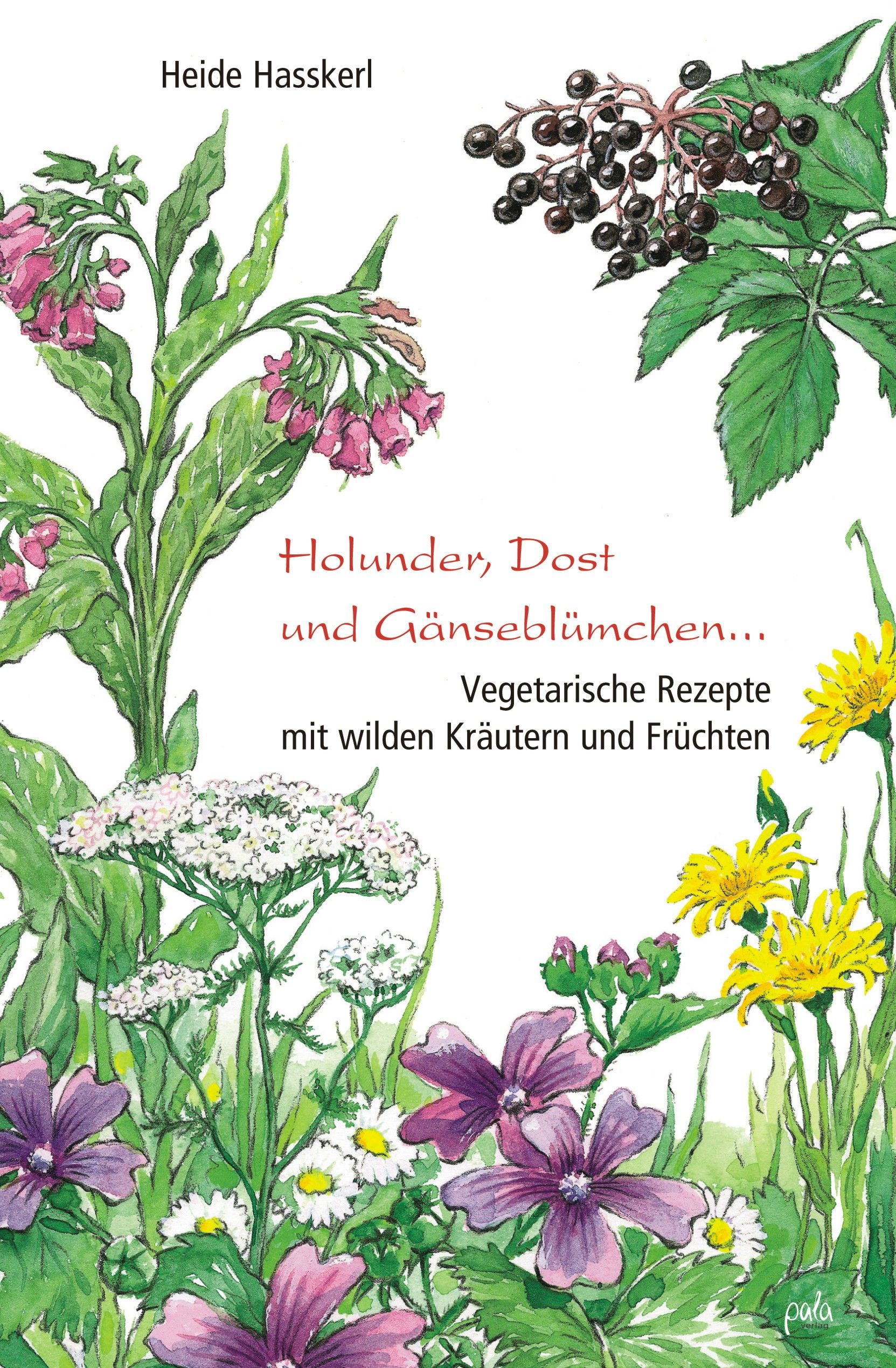 Holunder, Dost und Gänseblümchen ...
